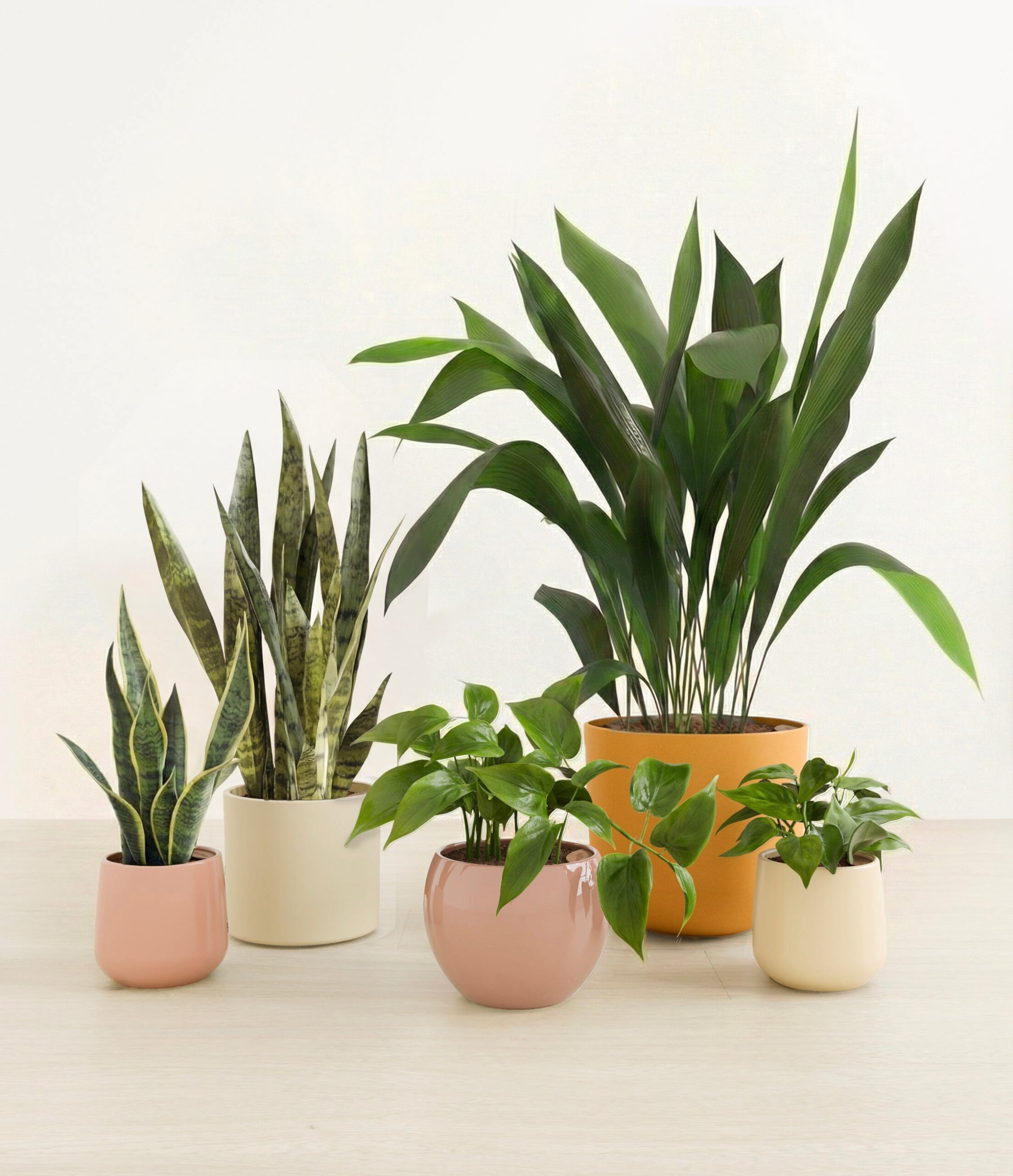 0002_evening_sky.jpg
