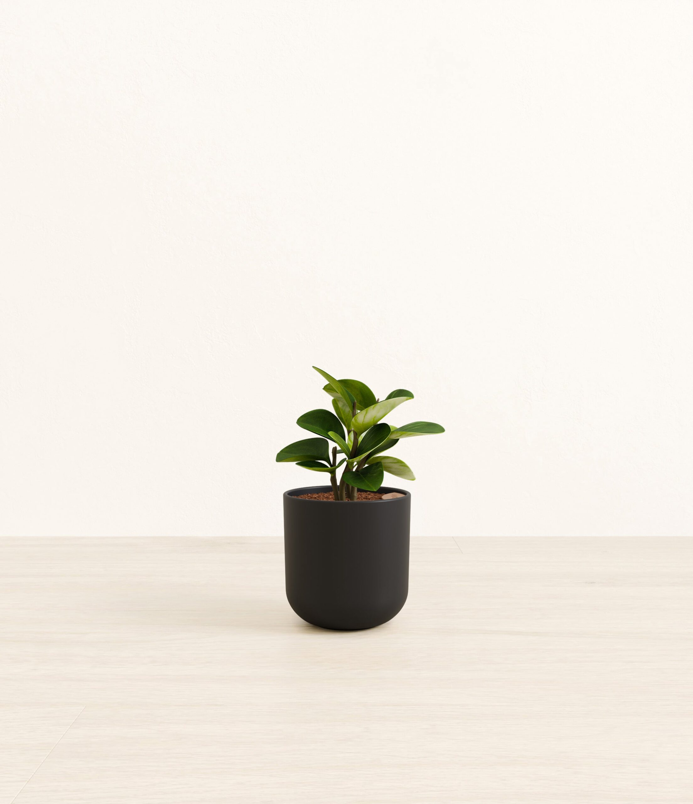 104-S-PEPGRN-MXT-POT-PLASTIC-454646-S.jpg