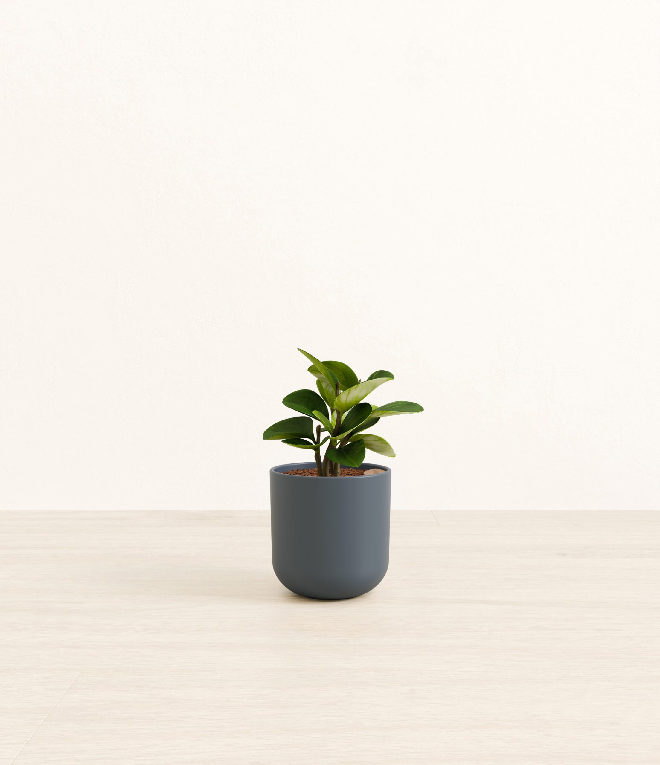 104-S-PEPGRN-MXT-POT-PLASTIC-7E878A-S.jpg