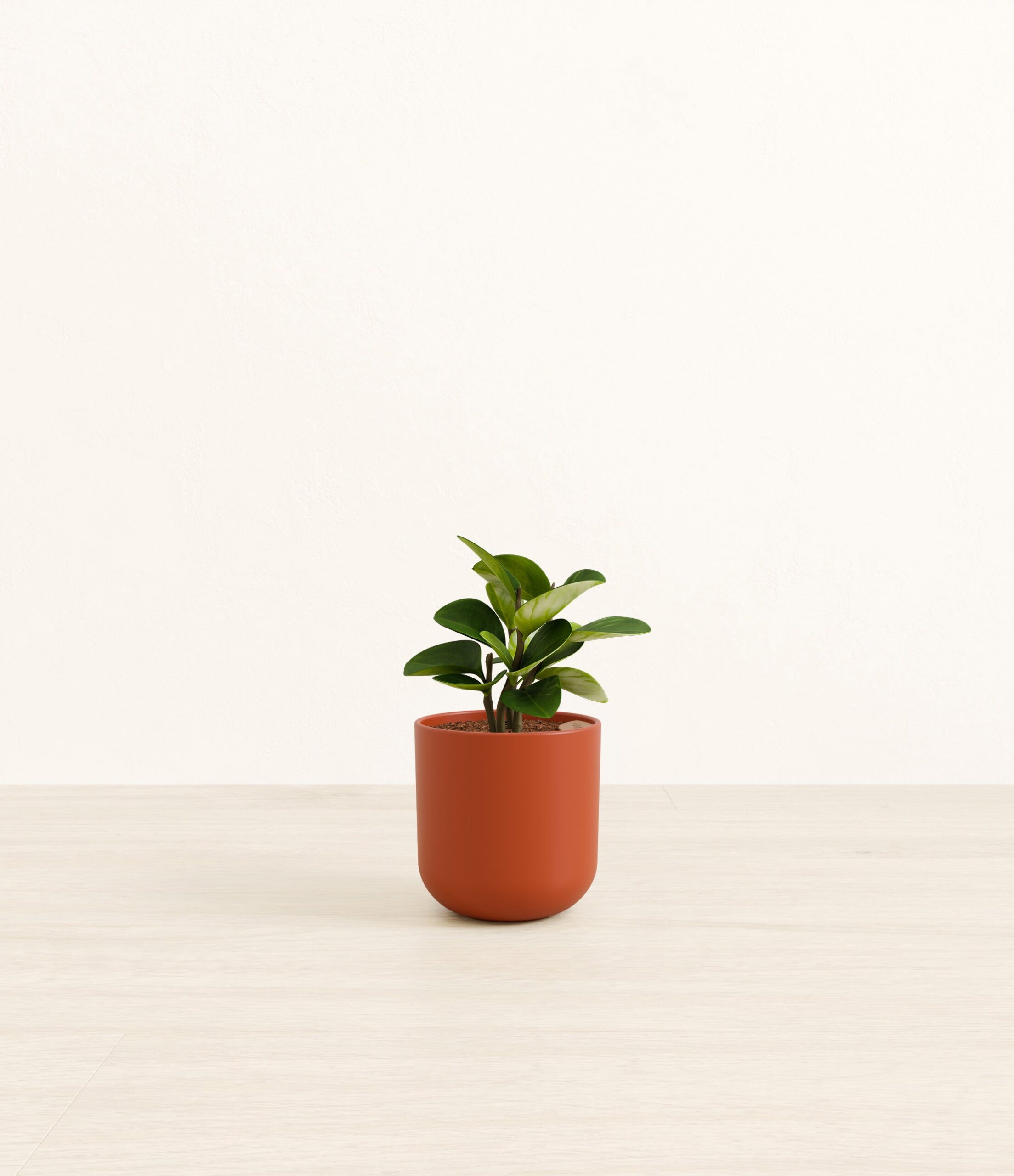 104-S-PEPGRN-MXT-POT-PLASTIC-A25A40-S.jpg