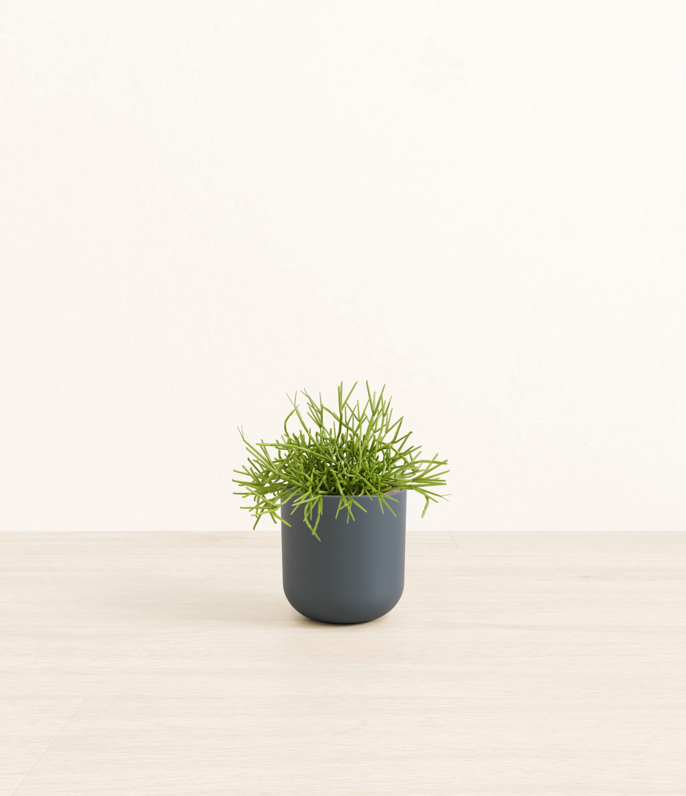 134-S-MSTCCT-MXT-POT-PLASTIC-7E878A-S.jpg