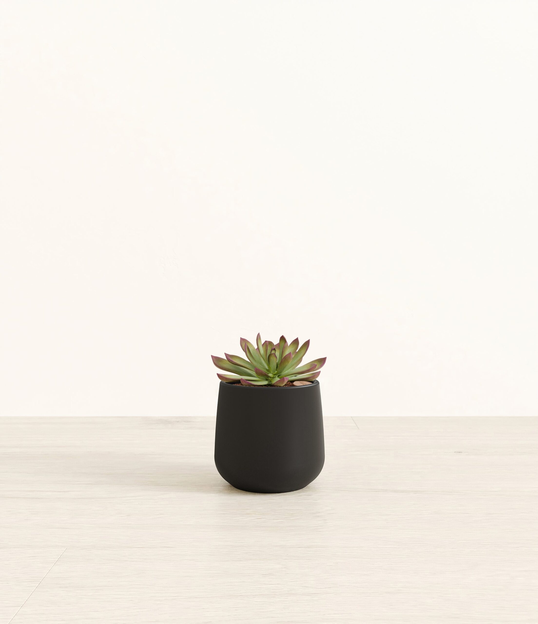 185-S-ECHCRS-BLK45M.jpg