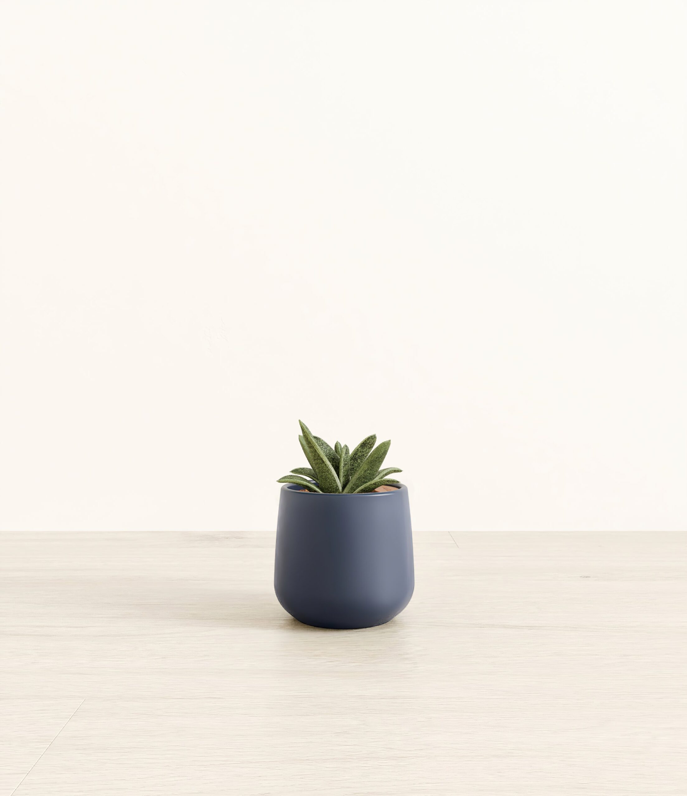 187-S-GSTASP-BLU31M.jpg