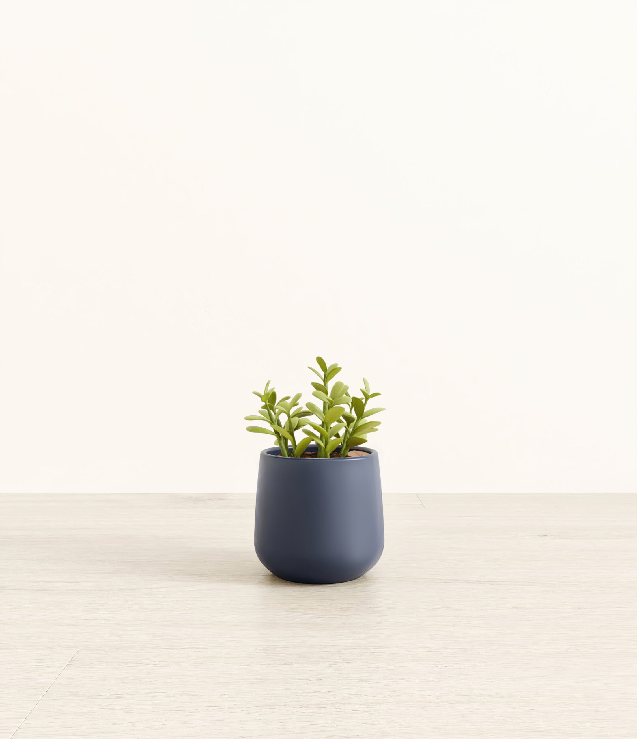 190-S-JDPSTN-BLU31M.jpg