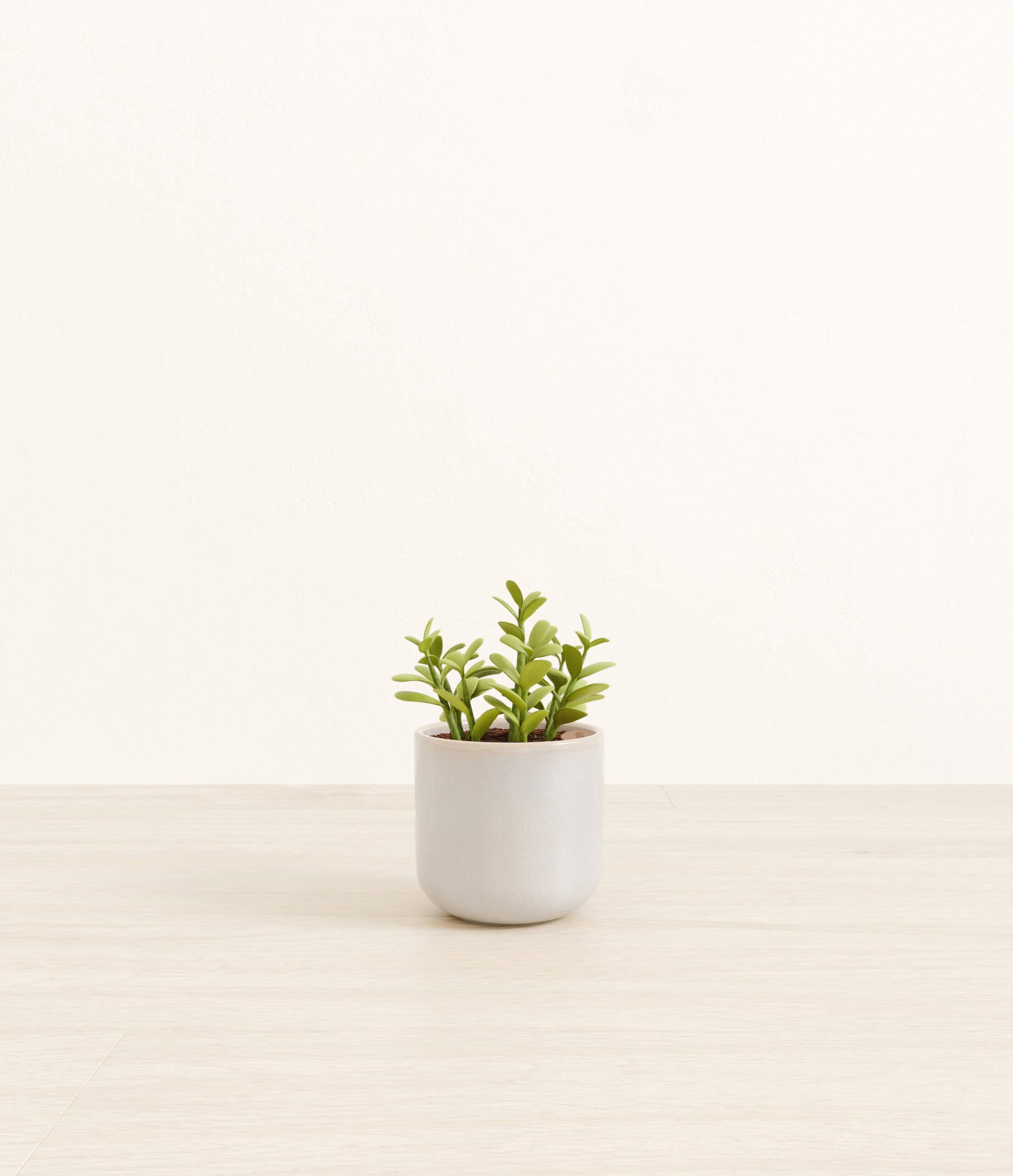 190-S-JDPSTN_Snowdrift_White.jpg