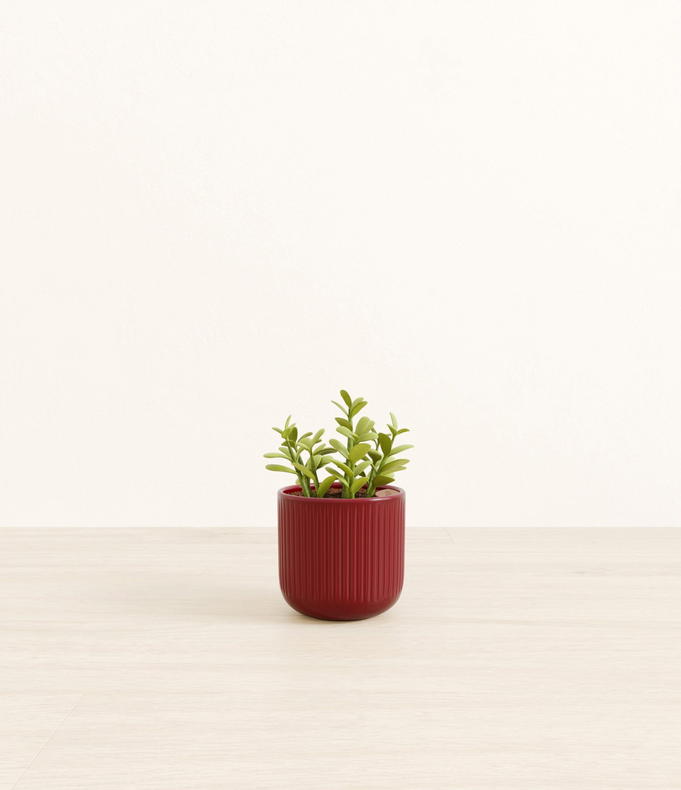 190-S-JDPSTN_red_striped.jpg