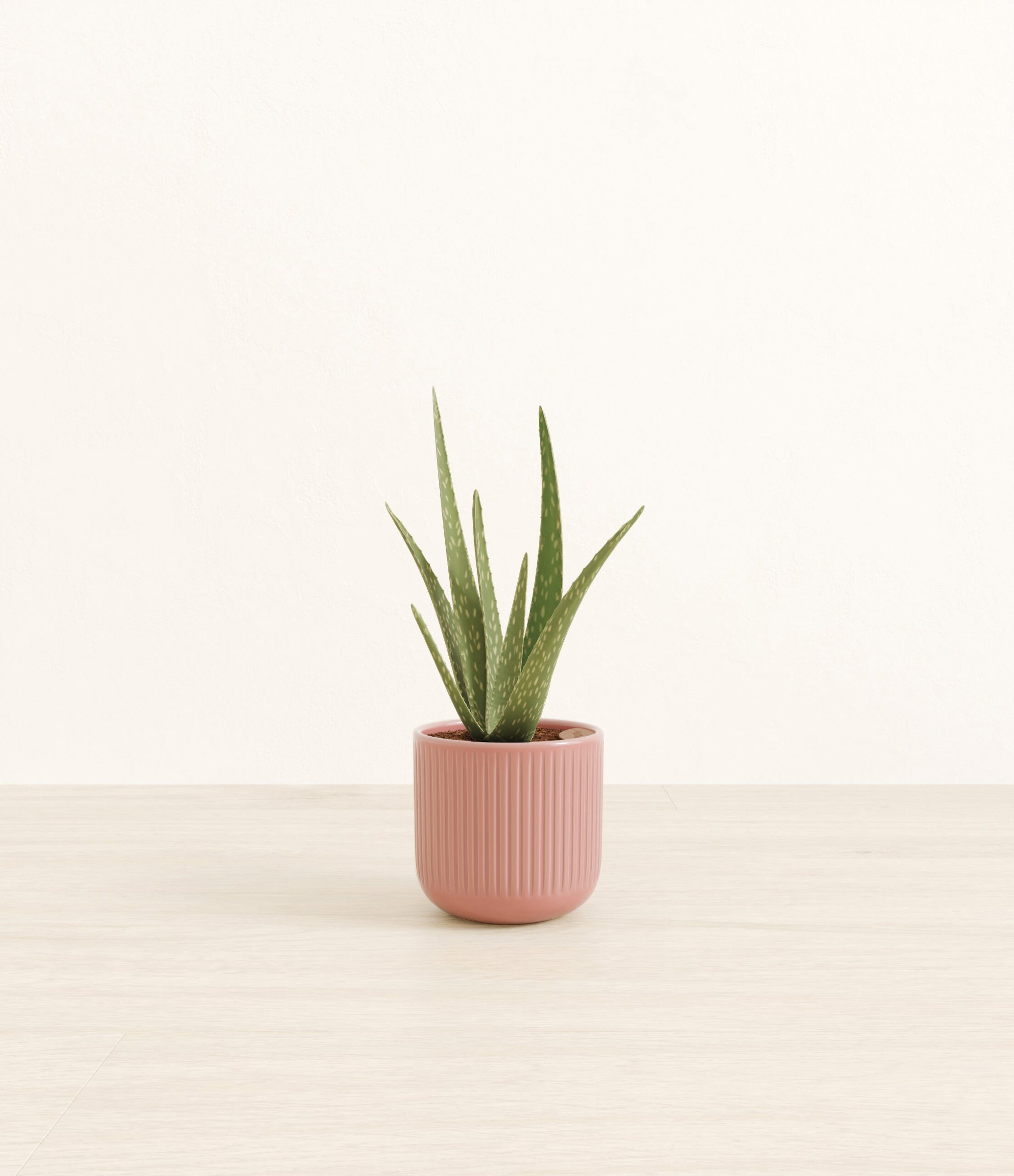 197-S-ALVASP_pink_striped.jpg