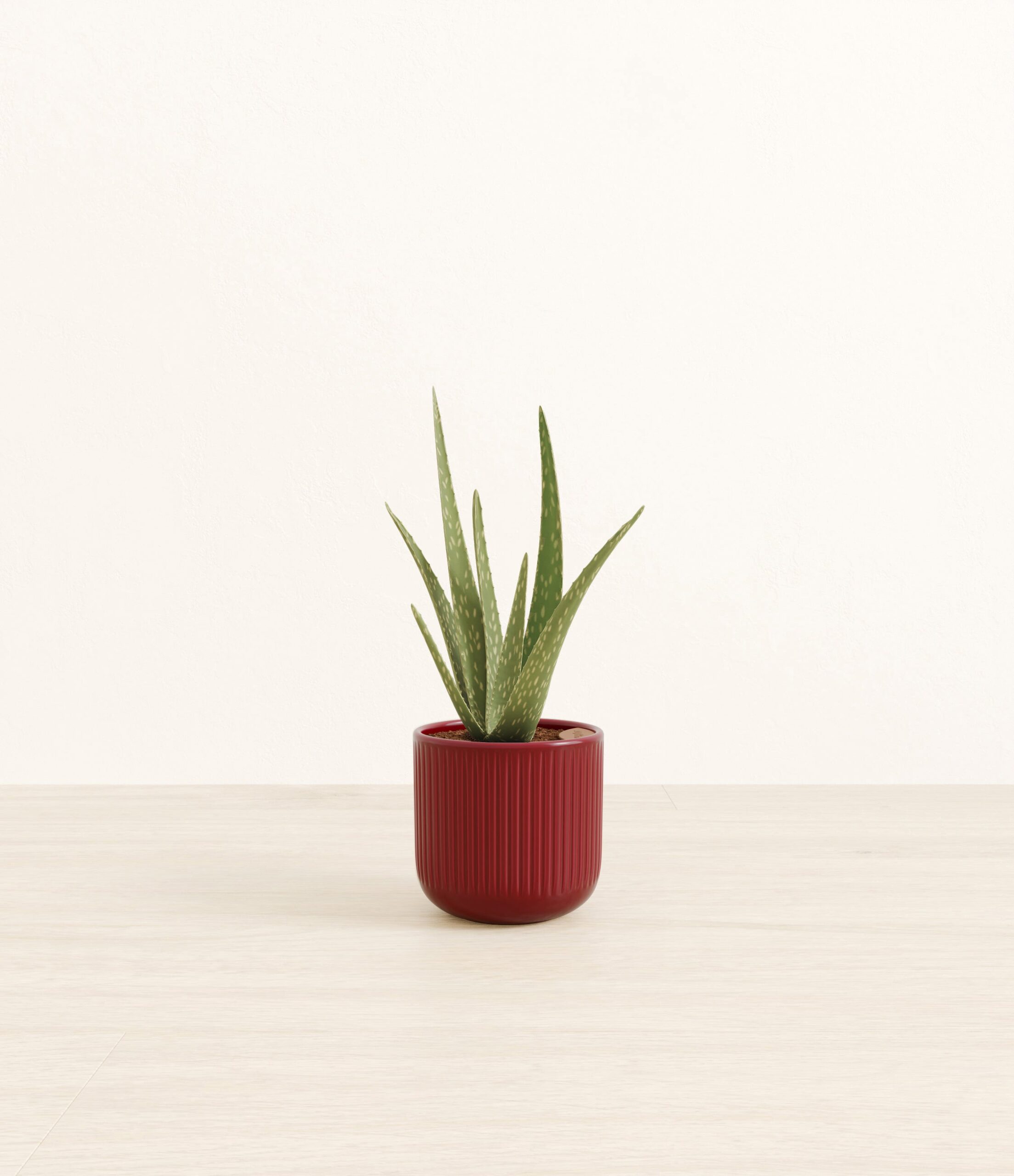 197-S-ALVASP_red_striped.jpg