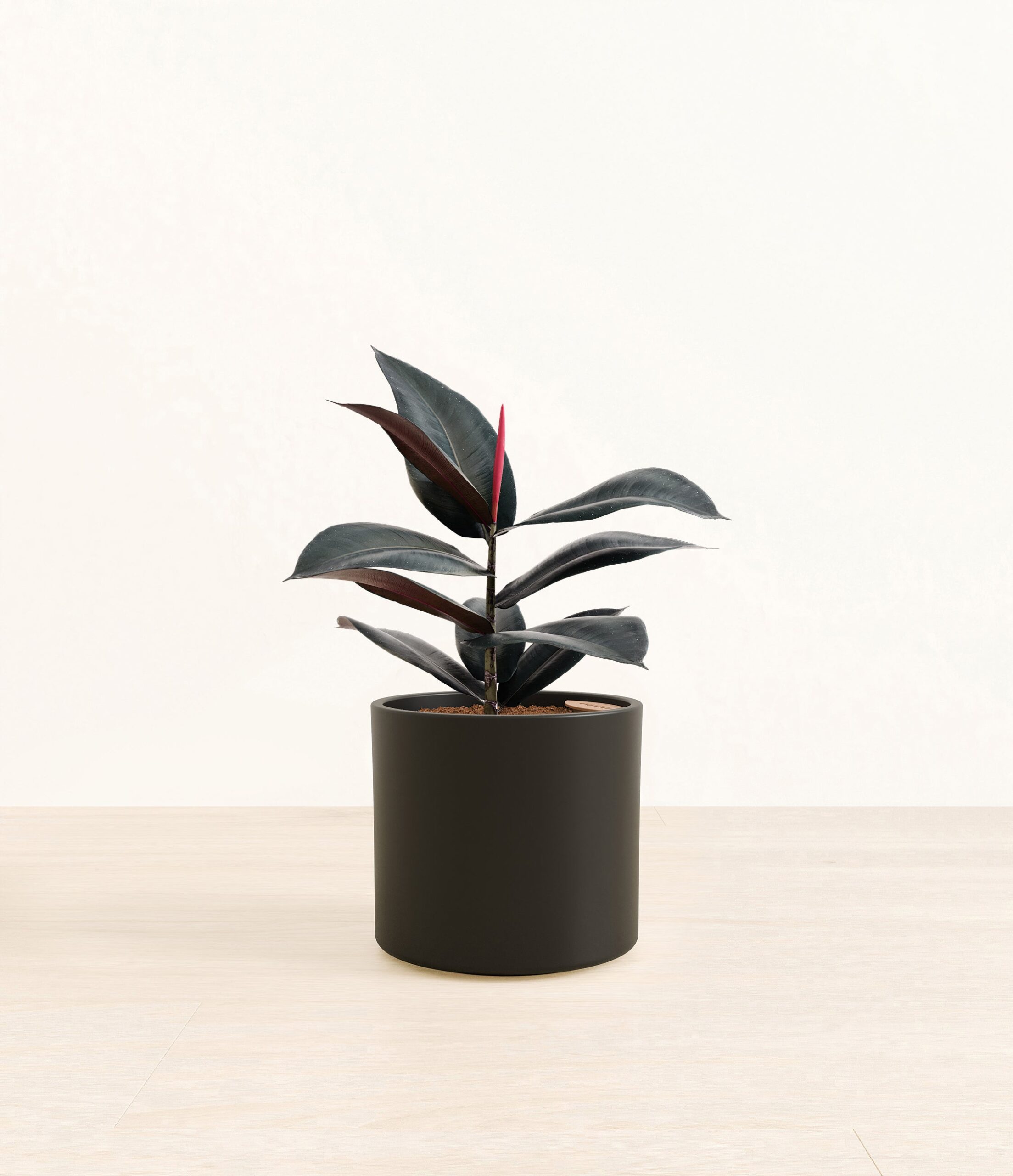 280-M-FCSELS-ME-BLK45M.jpg