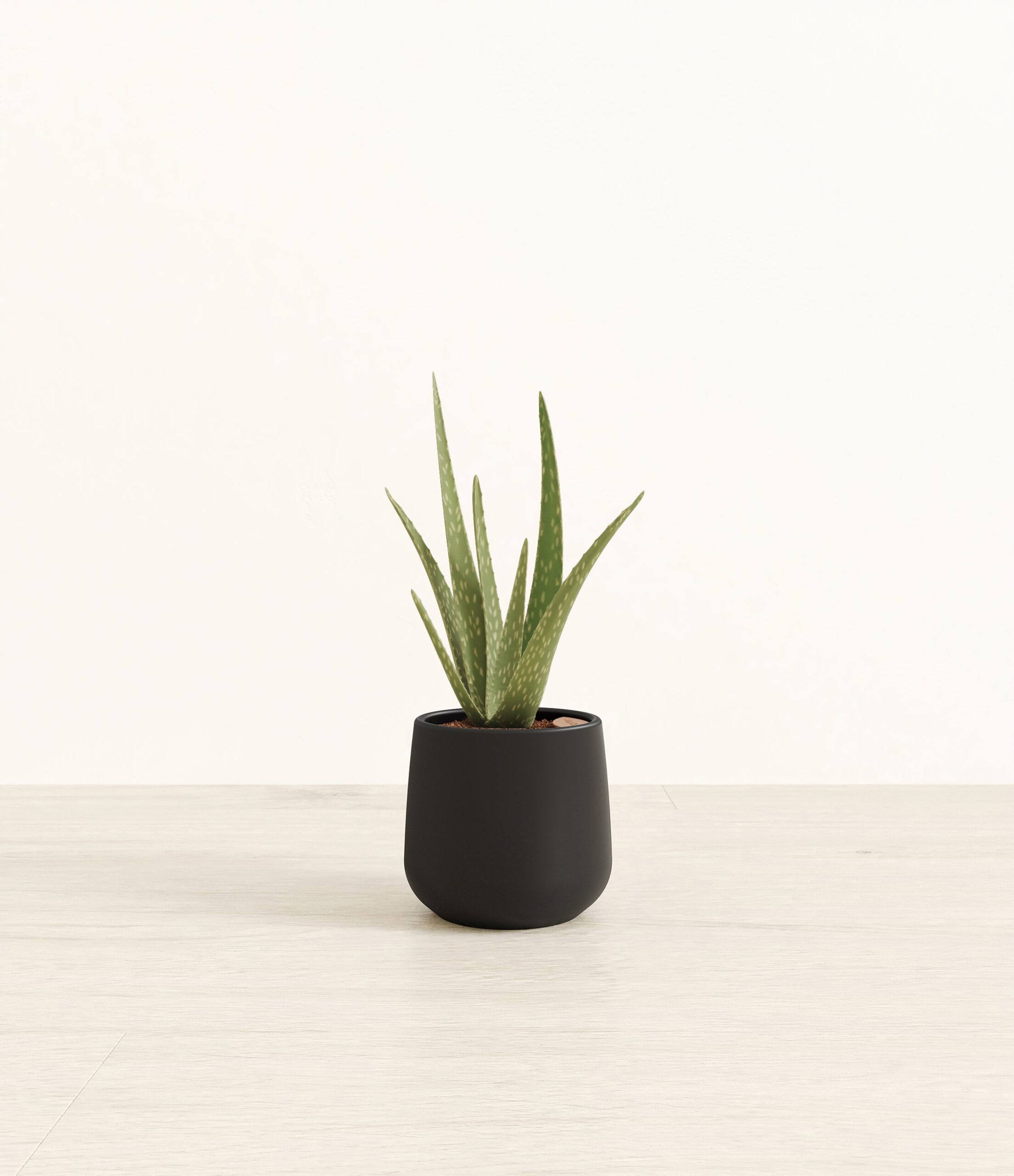 289-S-ALVASP-BLK45M.jpg