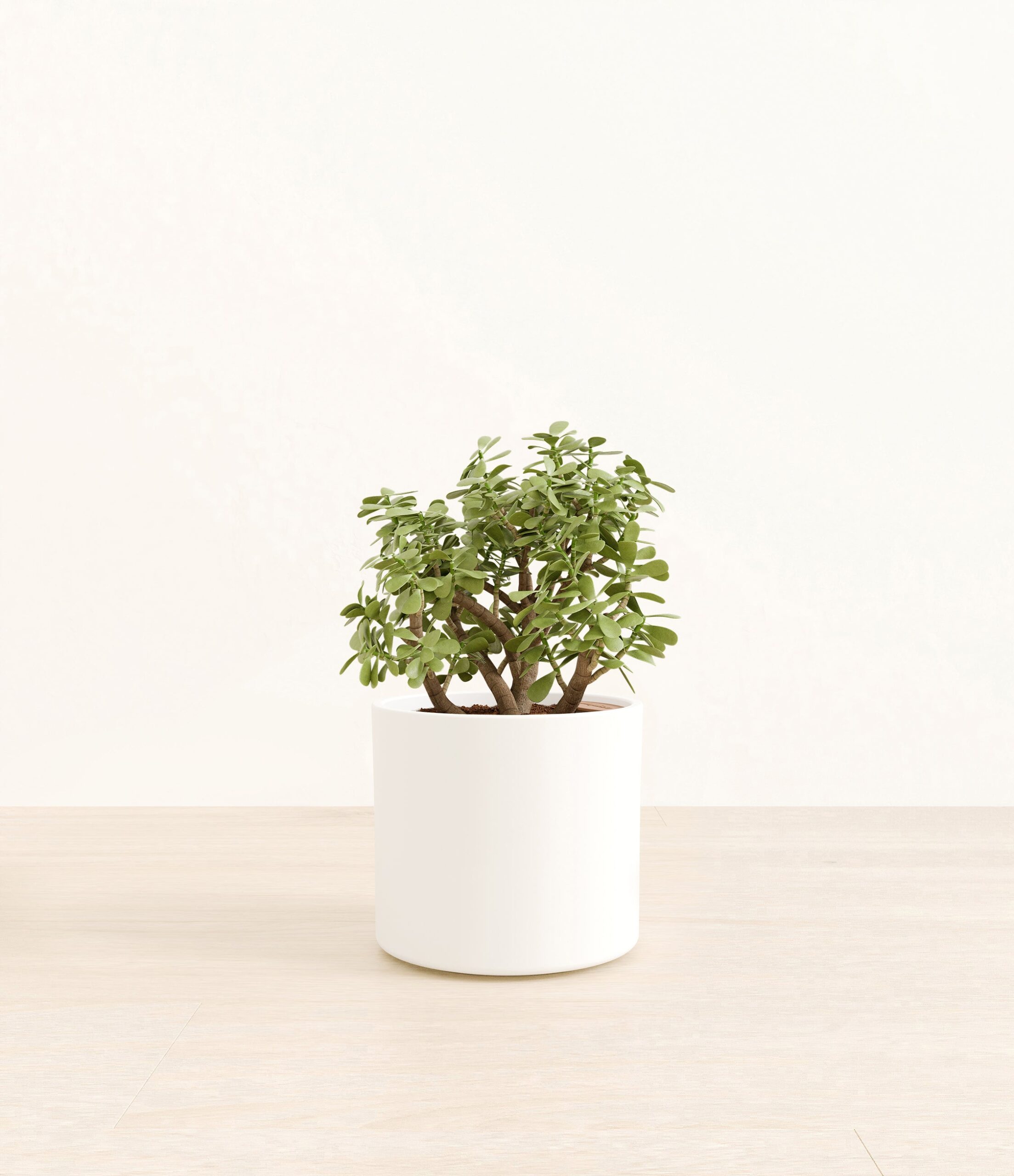 290-M-ELPDDR-ME-WHT46M.jpg