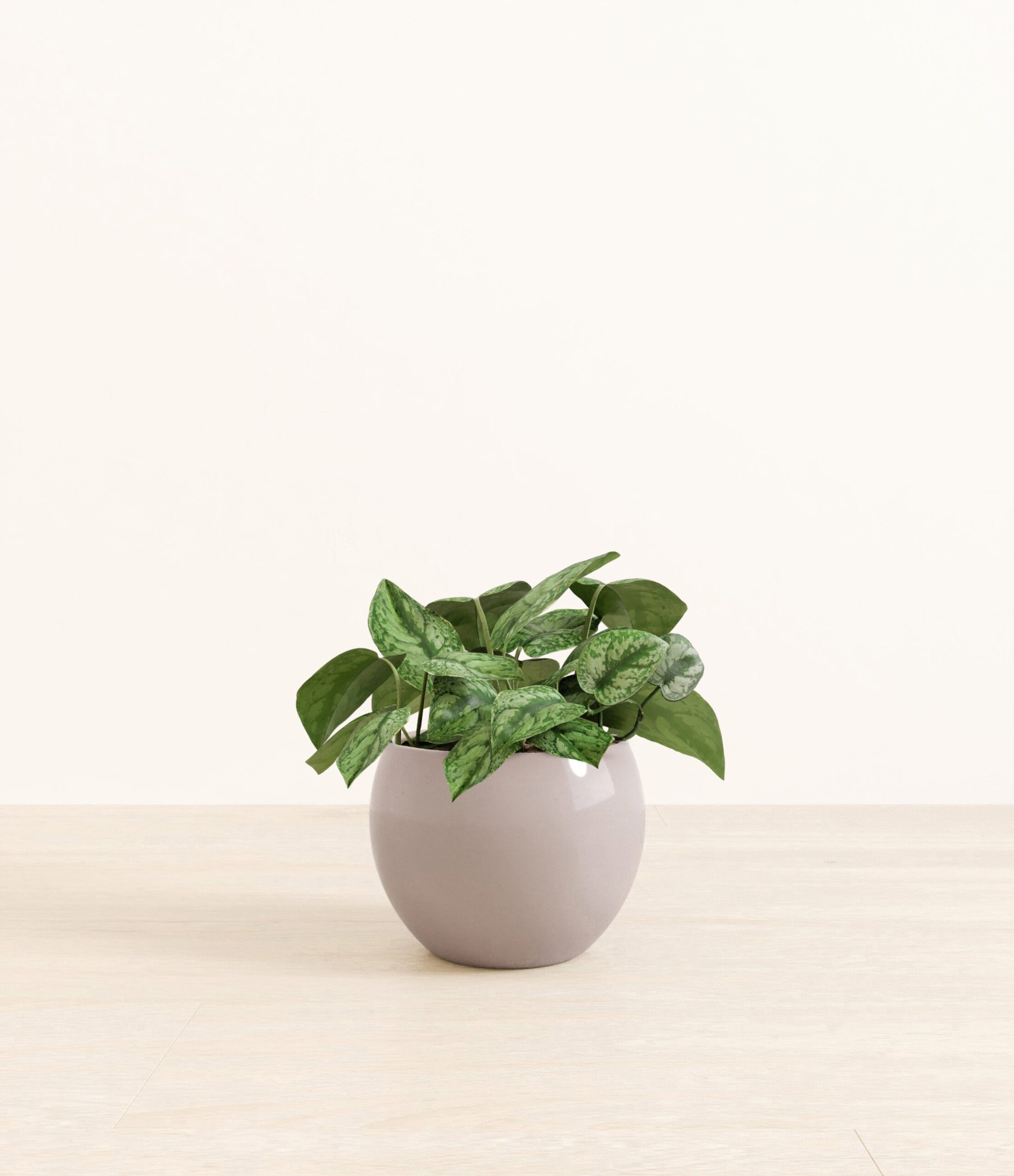 295-M-PHTSLV-MM-GRY39G.jpg