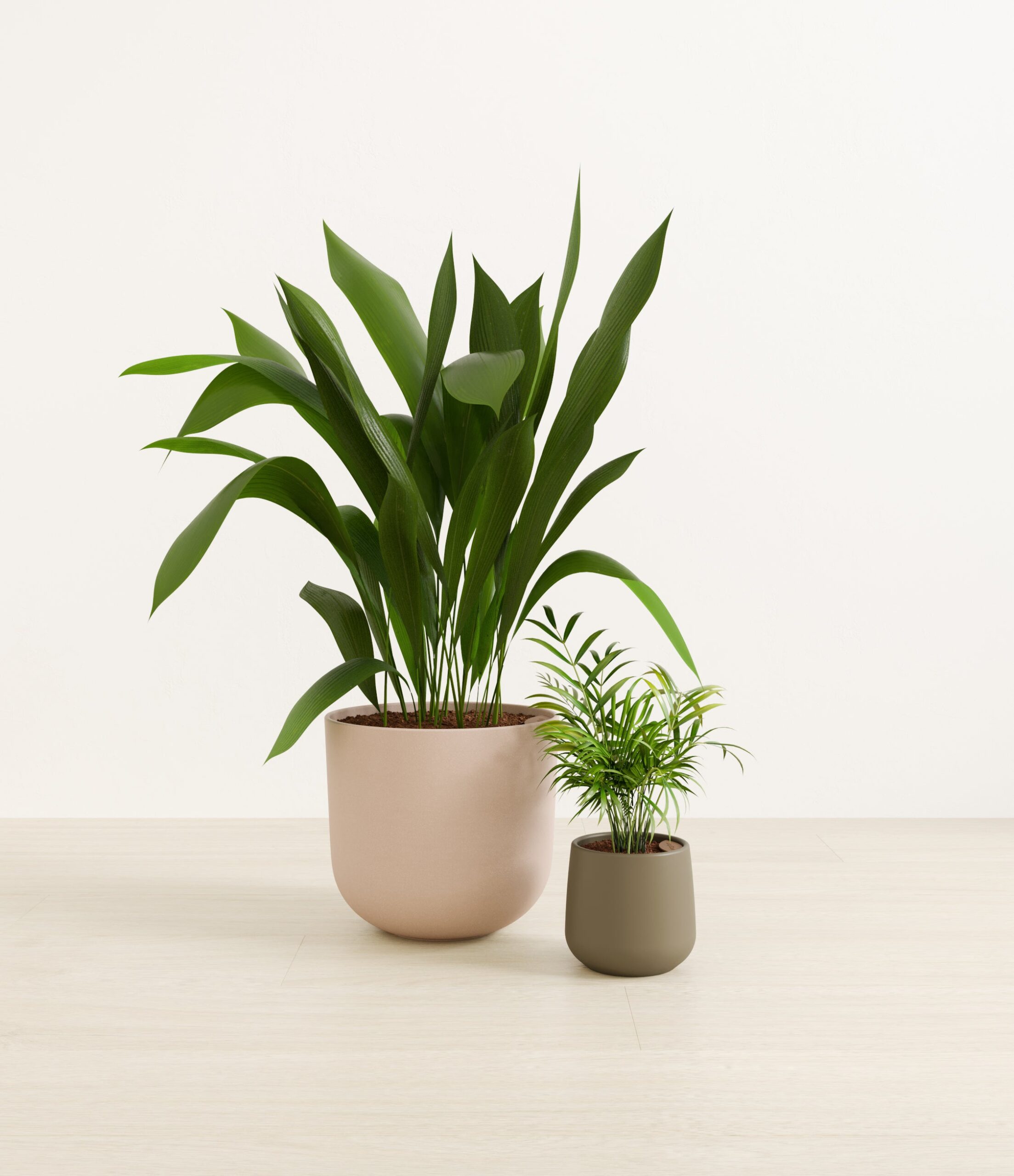 2_low_light_pet_friendly_studio_olive_branch.jpg