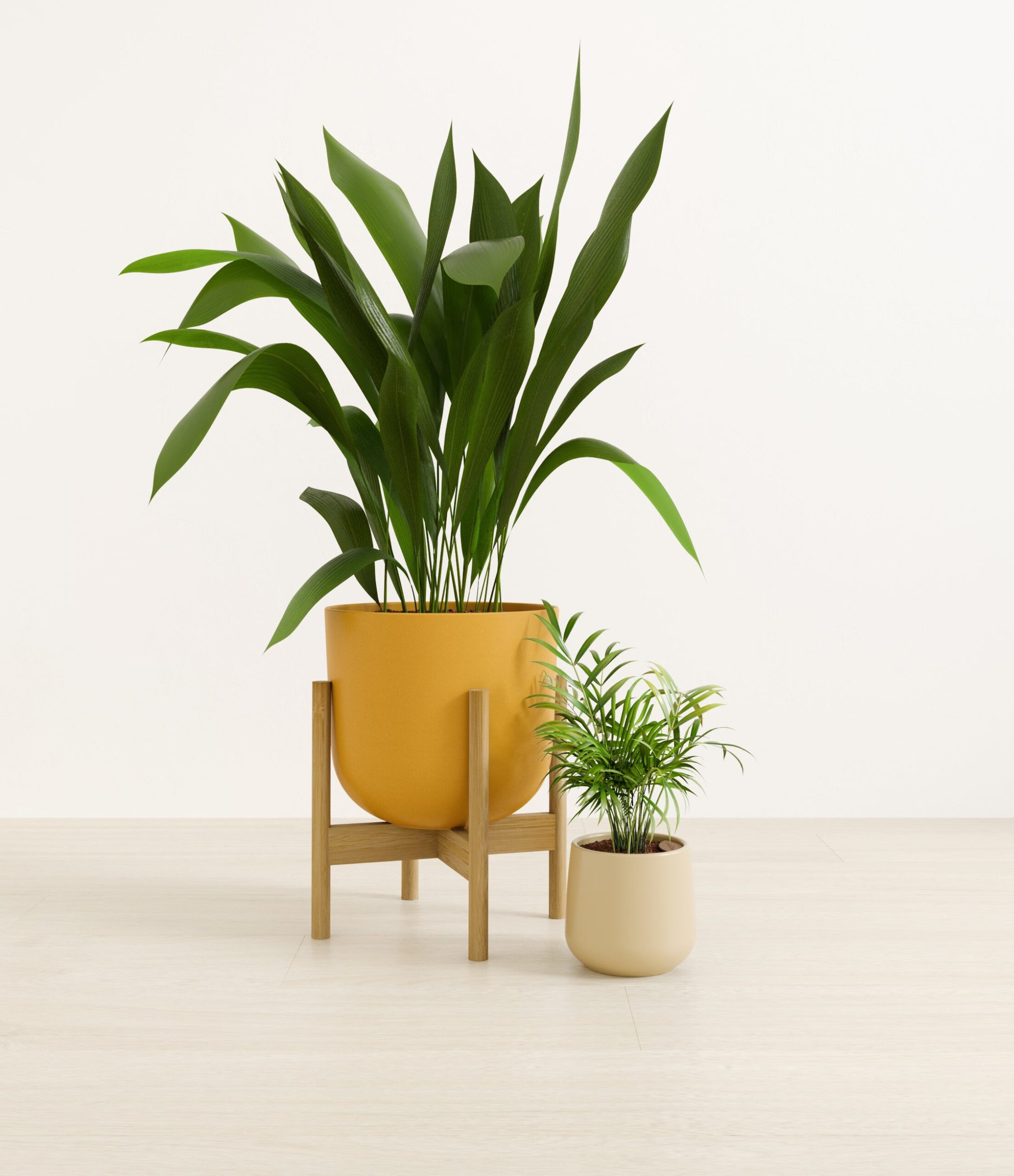 2_low_light_pet_friendly_studio_tiger_lily_stand.jpg