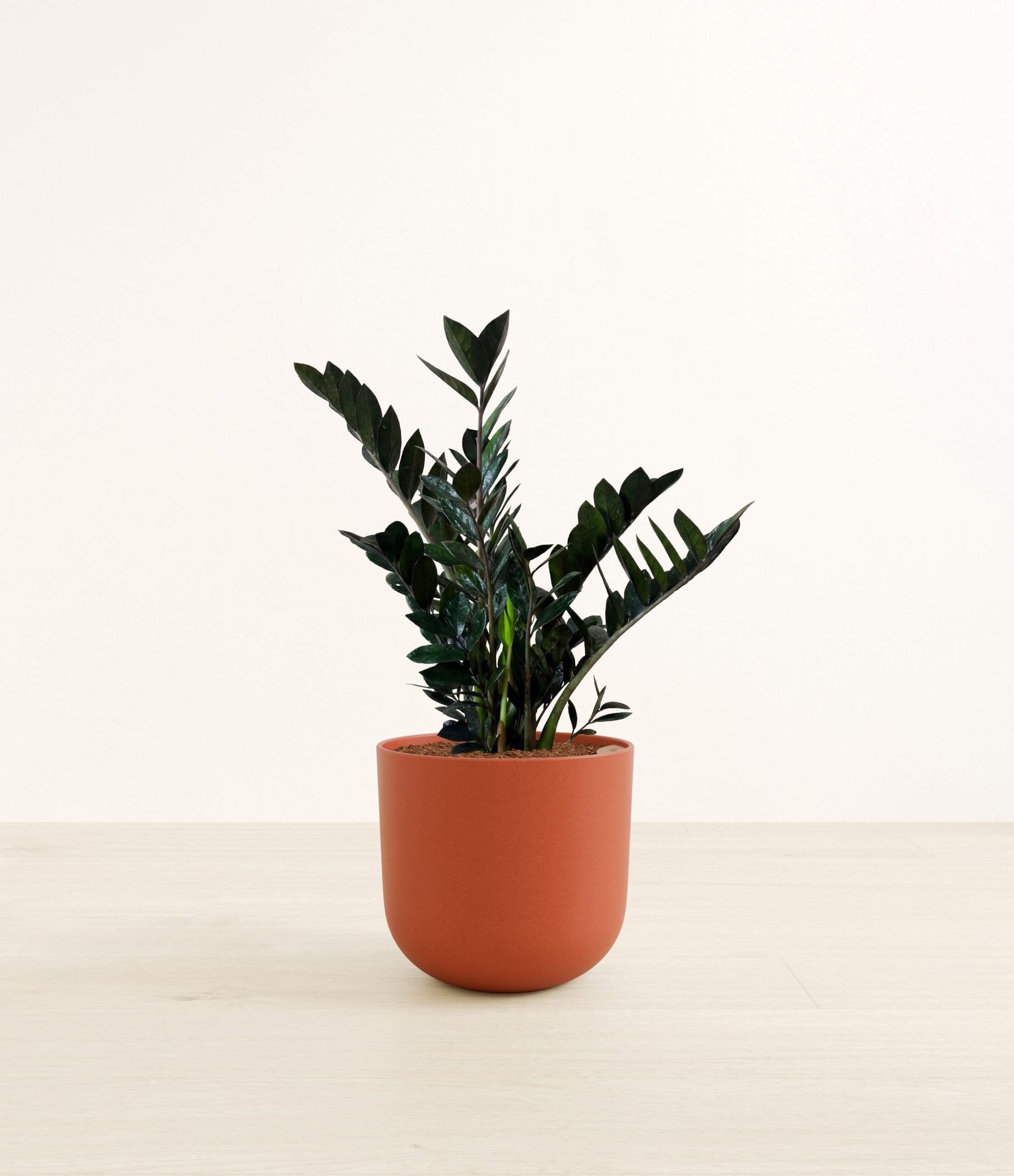 331-L-ZZPBLK-LA-A25A40.jpg