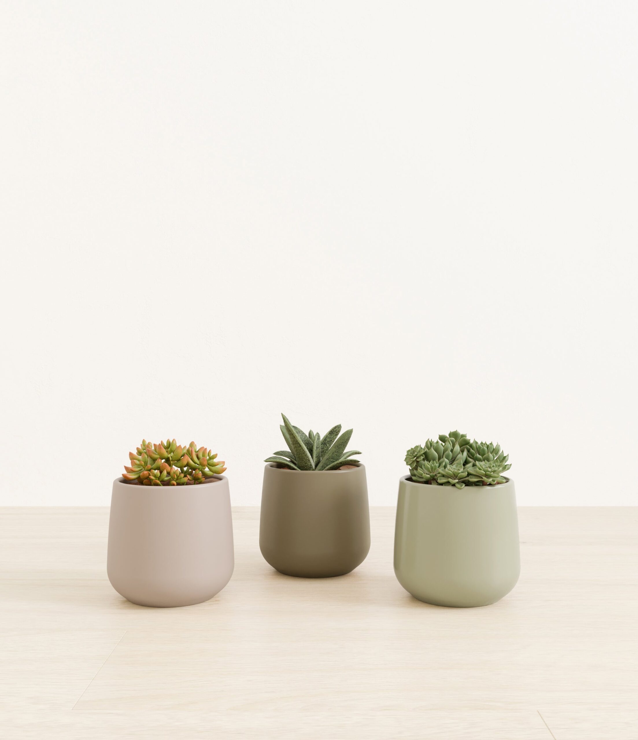 603245_studio_earthy.jpg