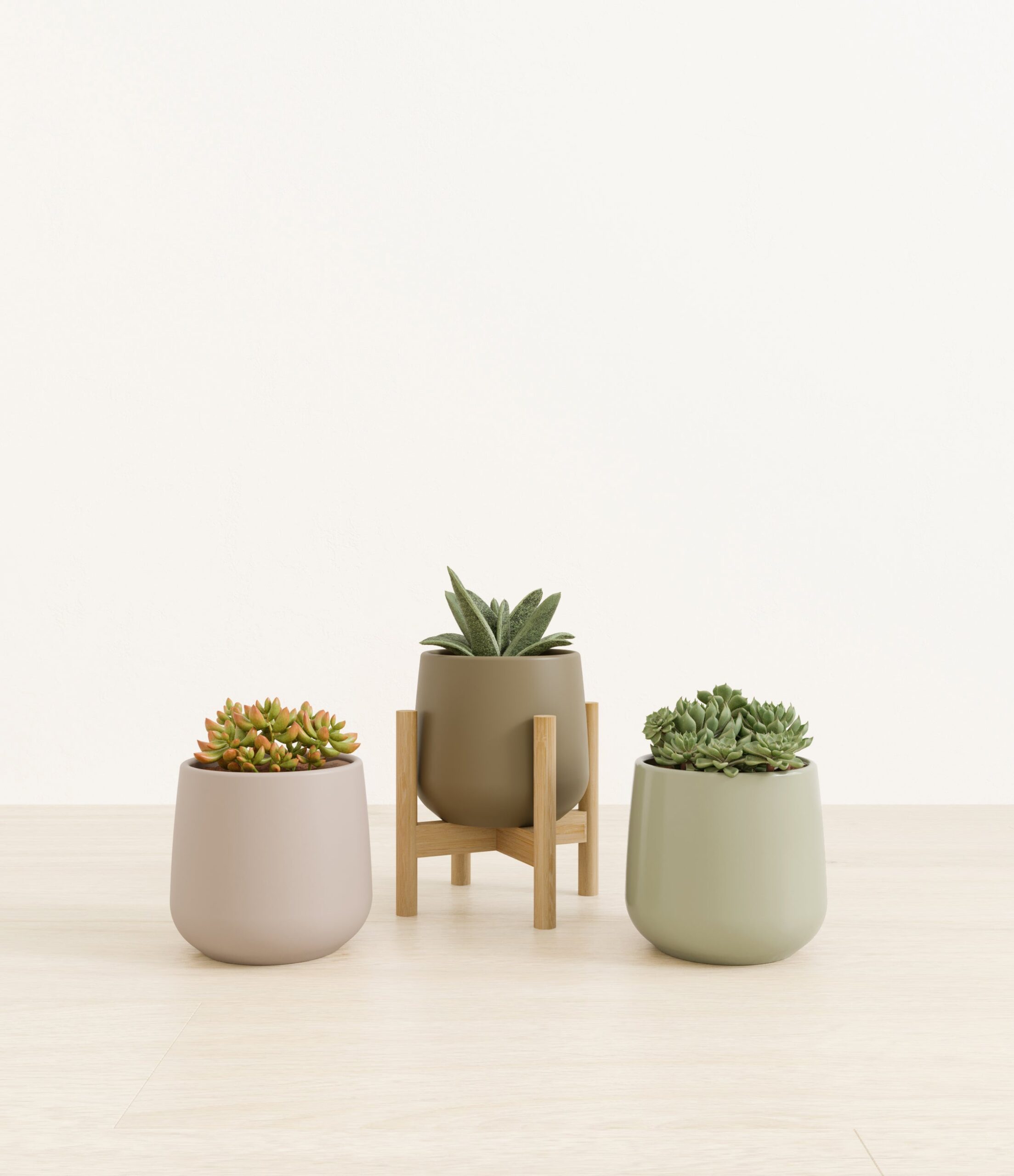 603245_studio_earthy_stand.jpg