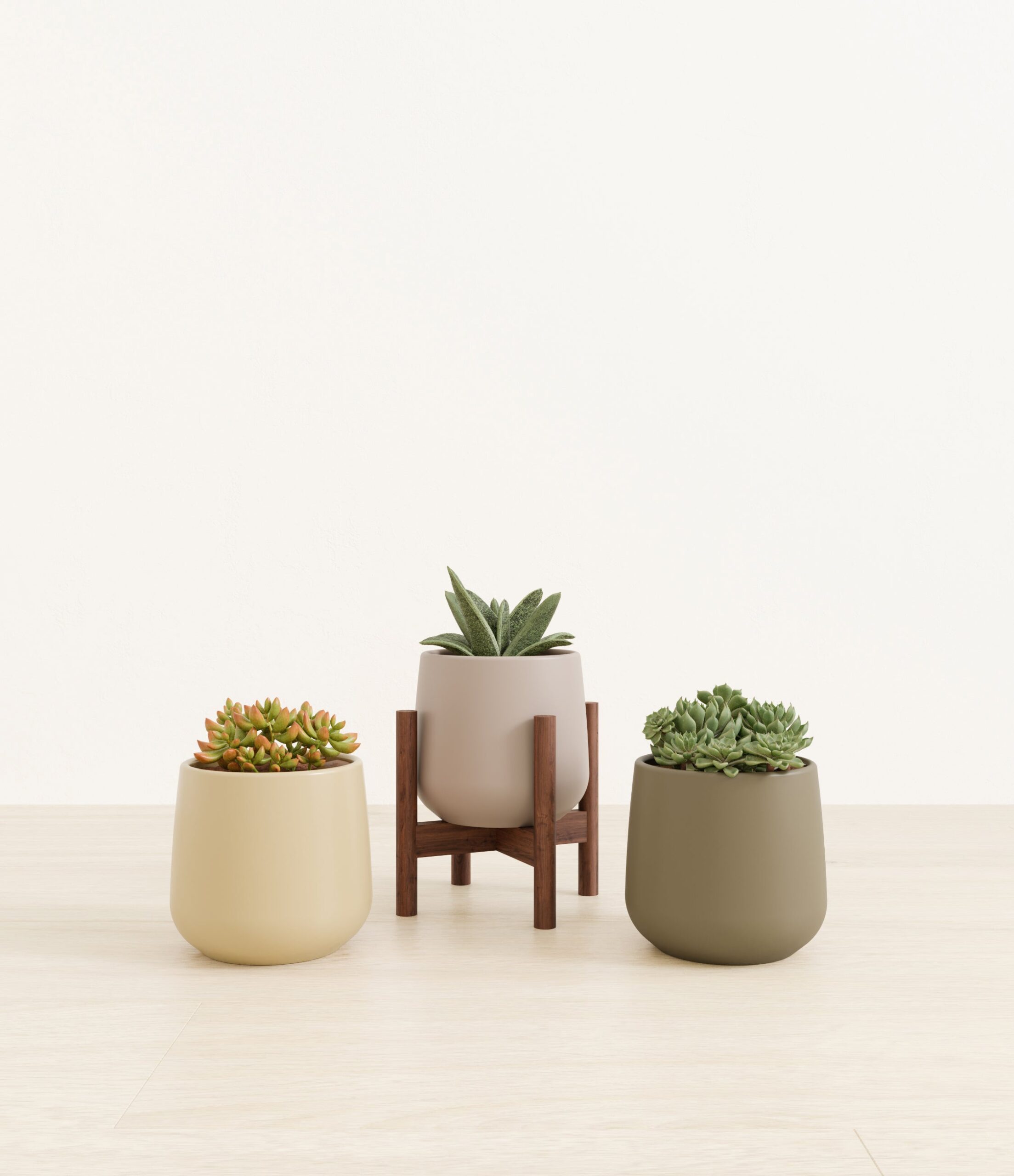 603245_studio_woodland_stand.jpg