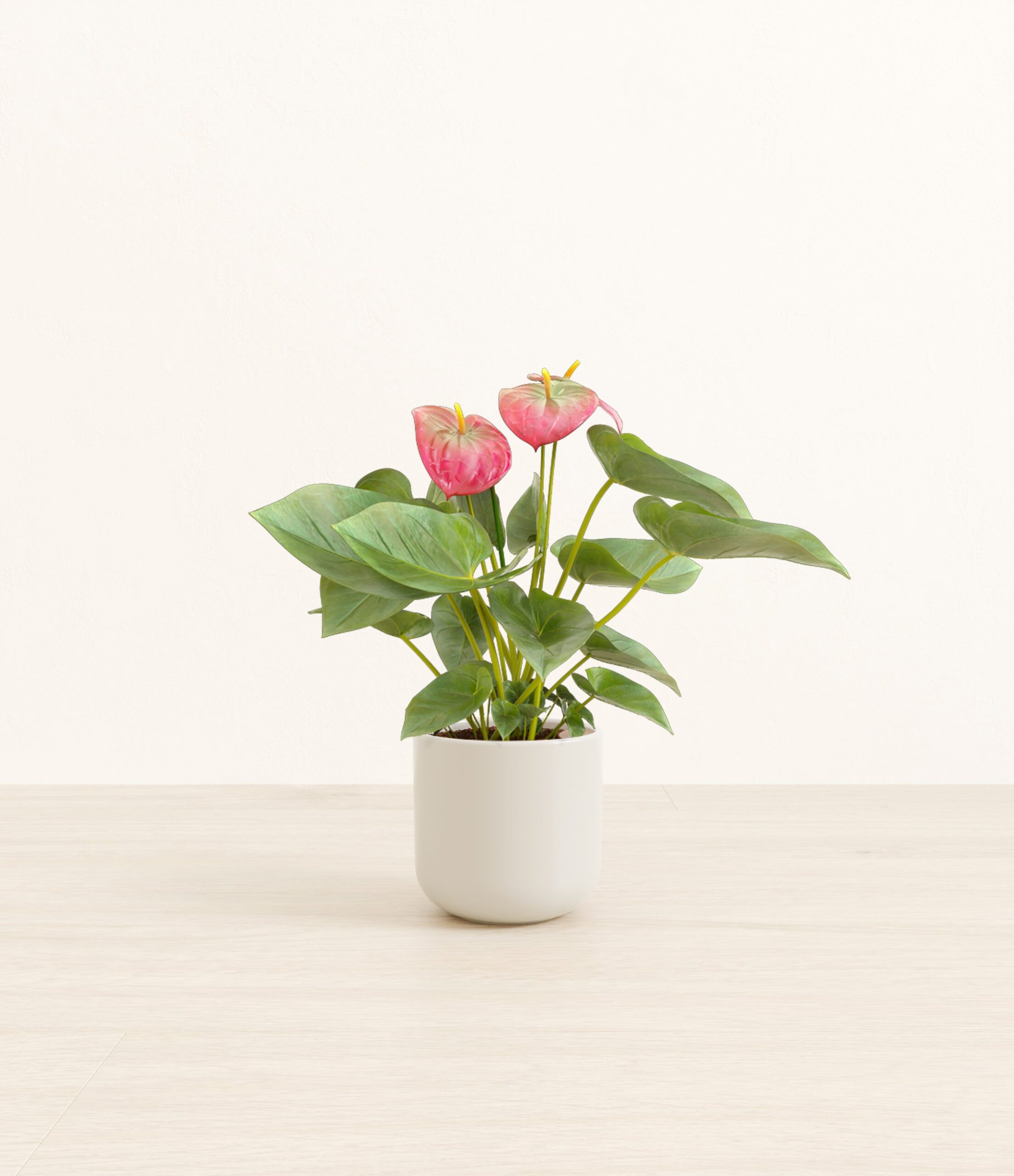 AnthuriumPinkSmall_Natural_Bamboo.jpg