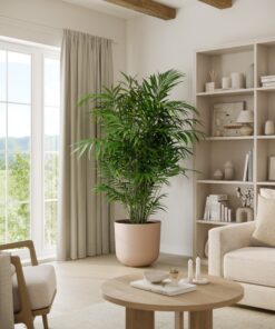 Bamboo Palm - Xl Agatha