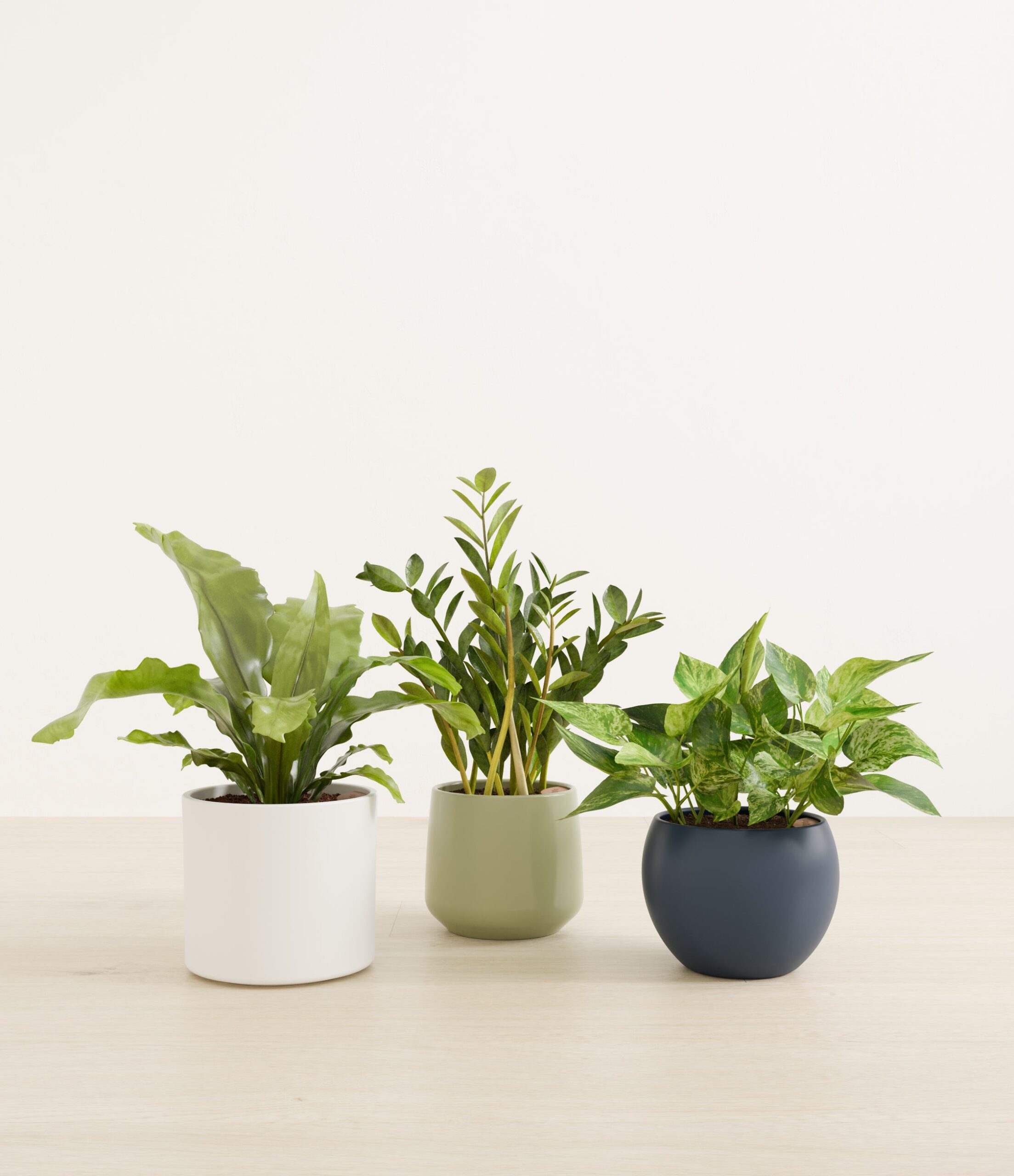 Bathroom_plants_studio_earthy_0_stand.jpg