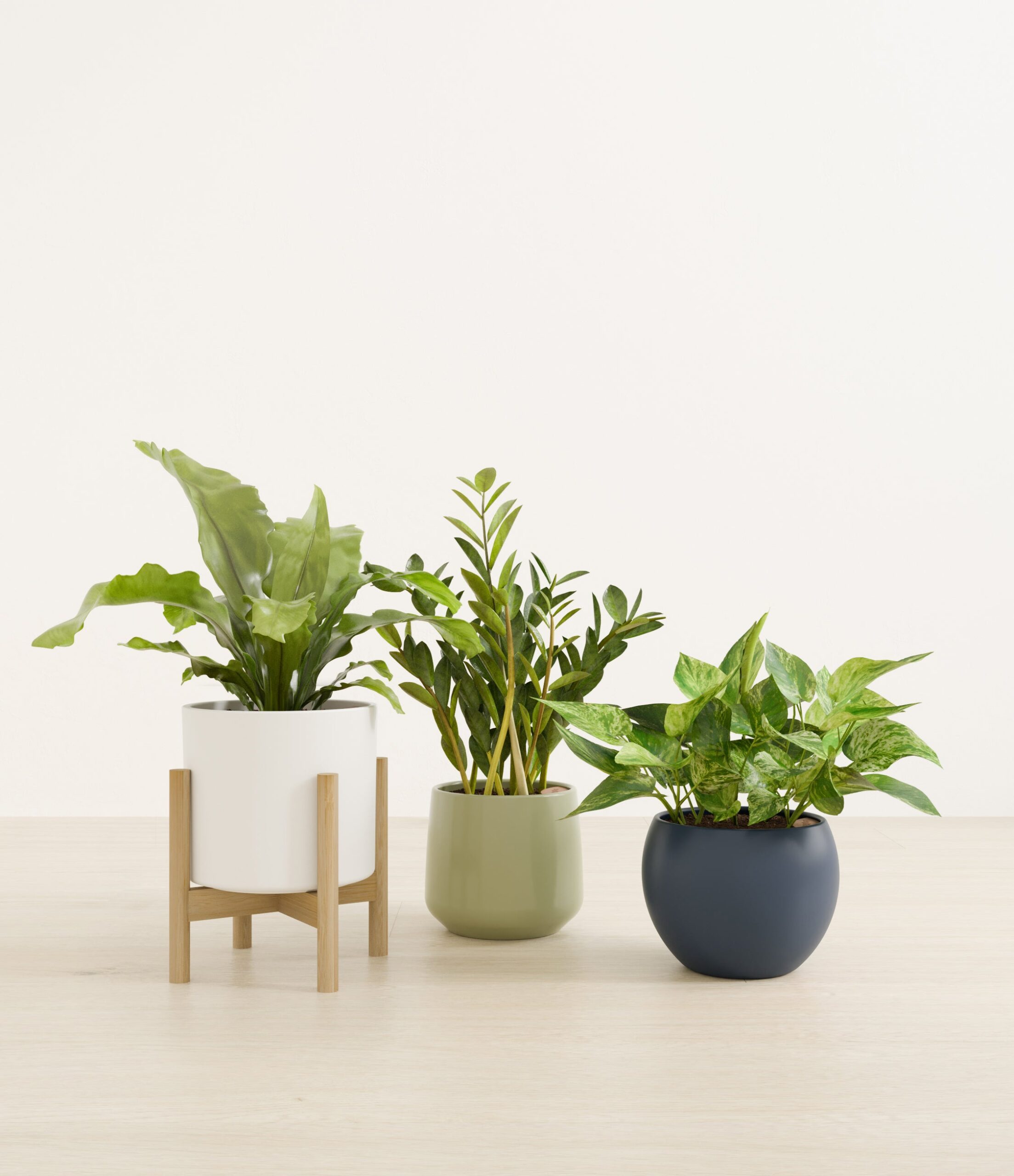 Bathroom_plants_studio_earthy_1_stand.jpg