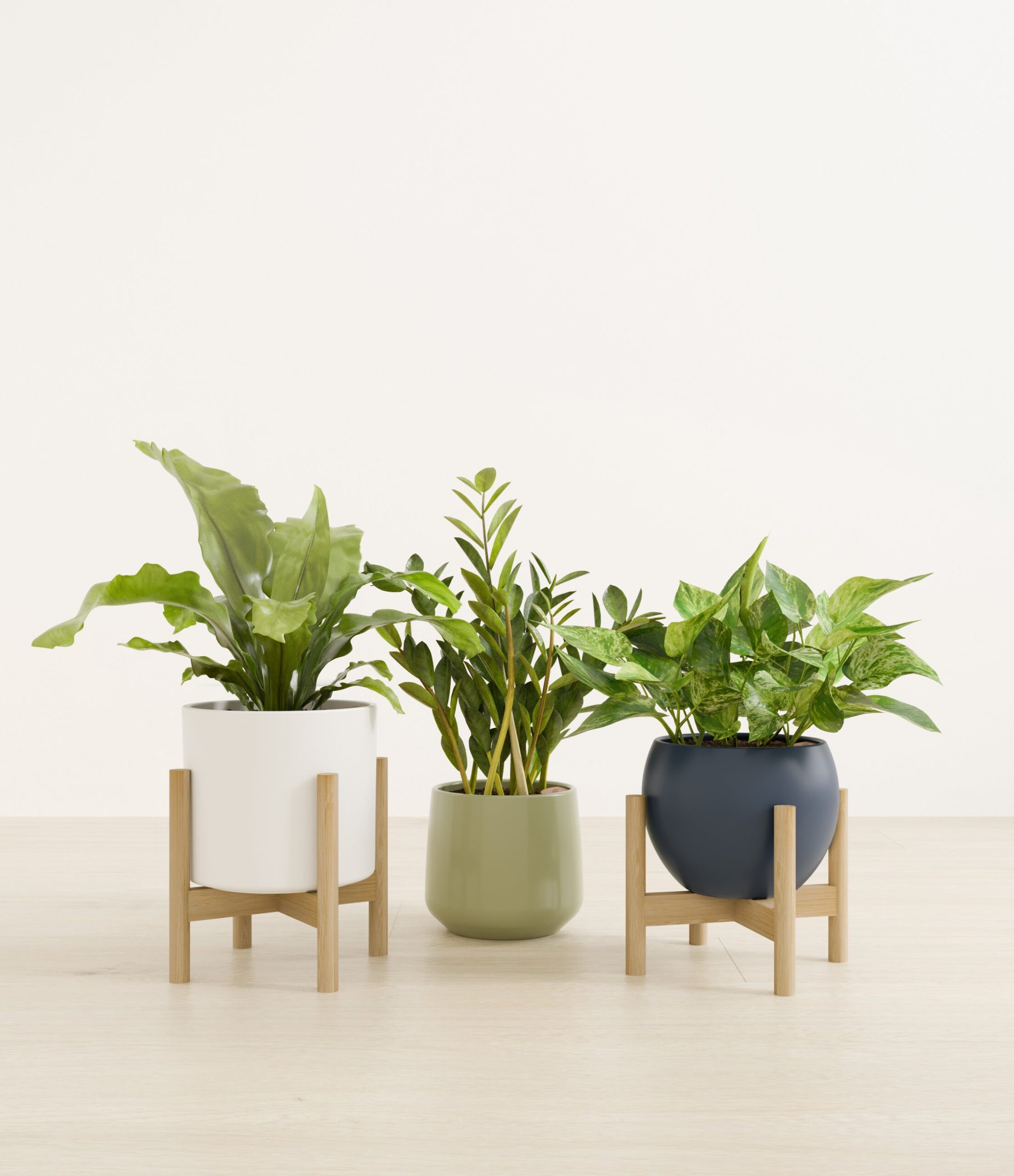 Bathroom_plants_studio_earthy_2_stand.jpg