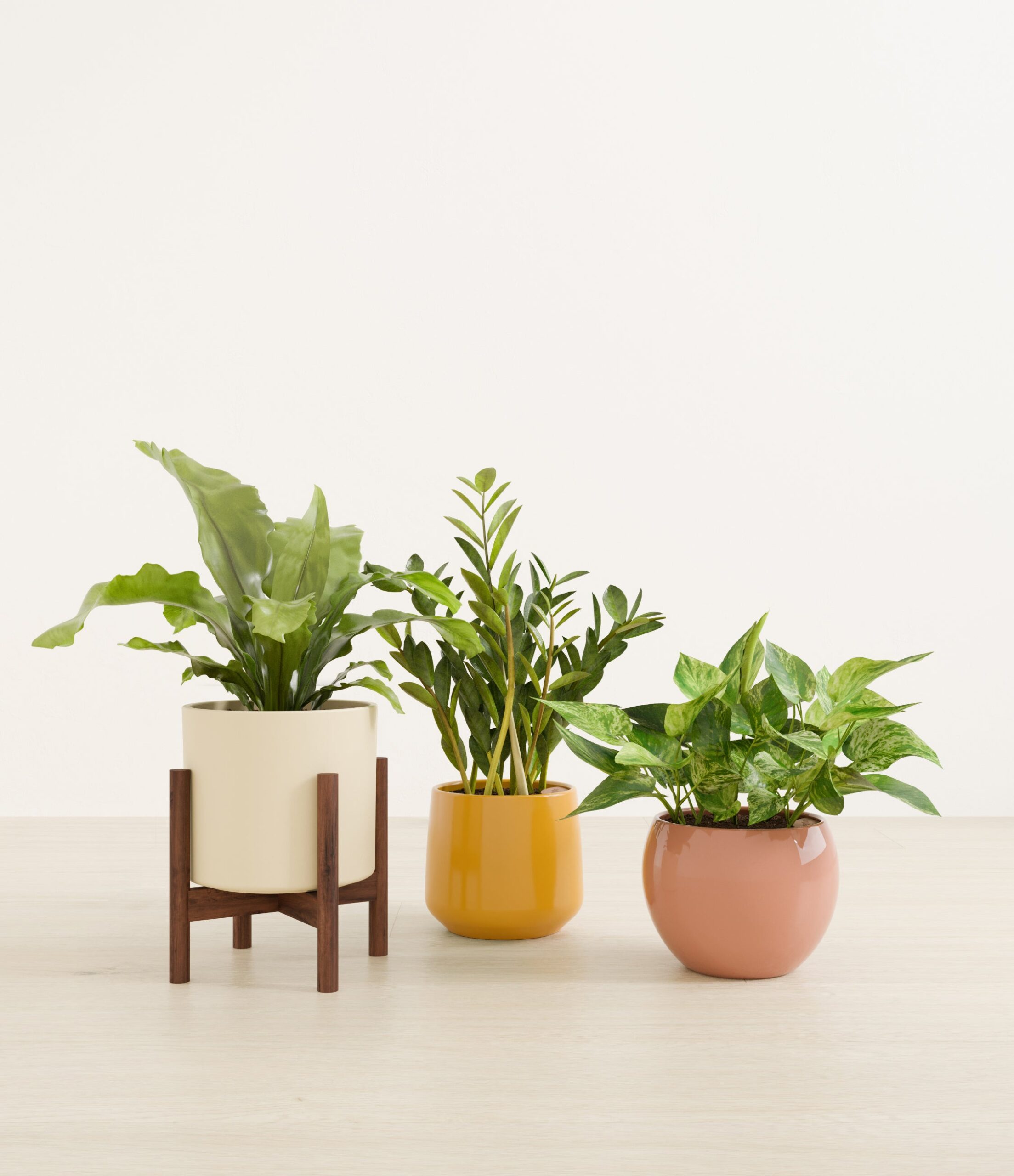 Bathroom_plants_studio_evening_sky_1_stand.jpg