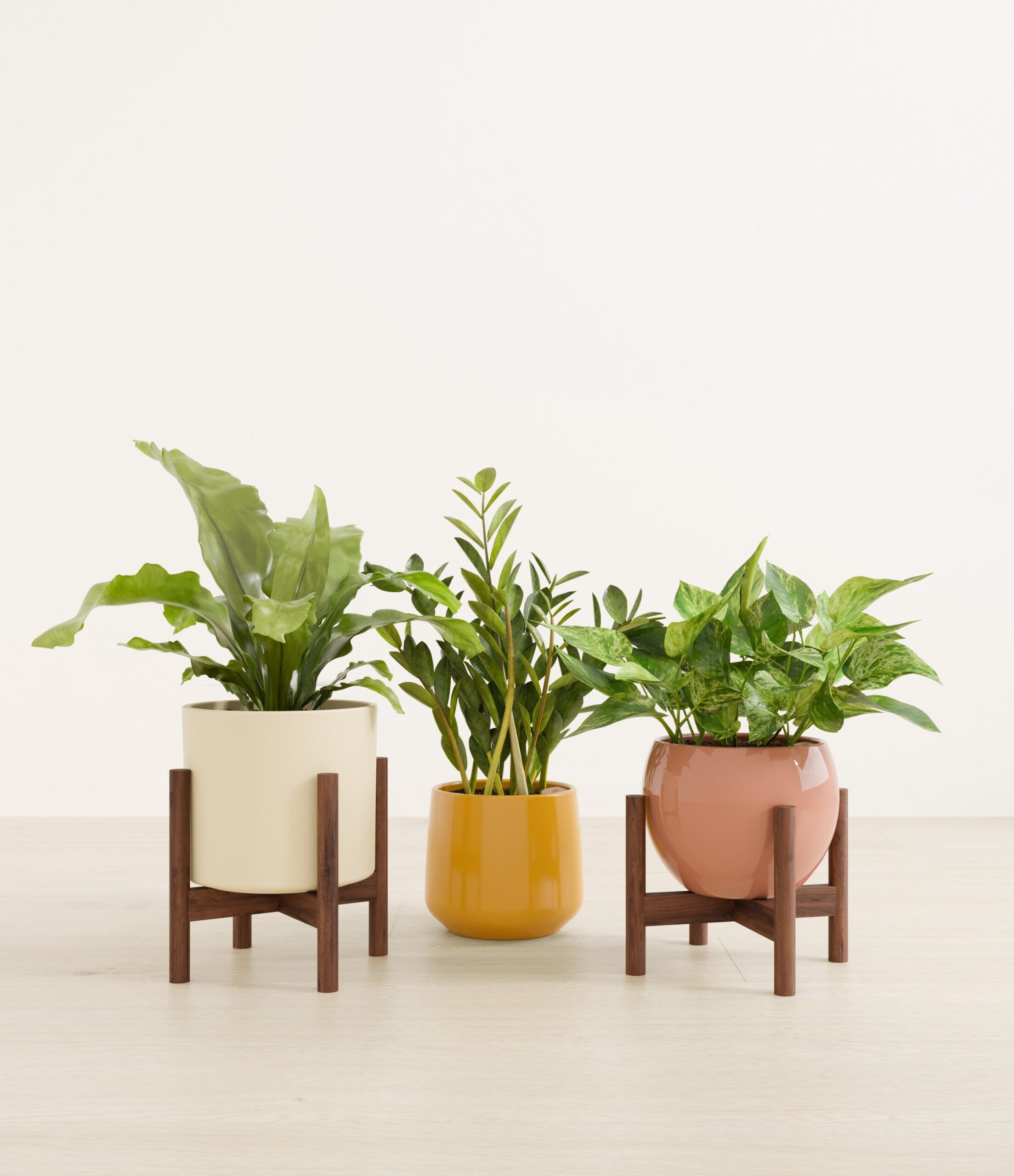 Bathroom_plants_studio_evening_sky_2_stand.jpg