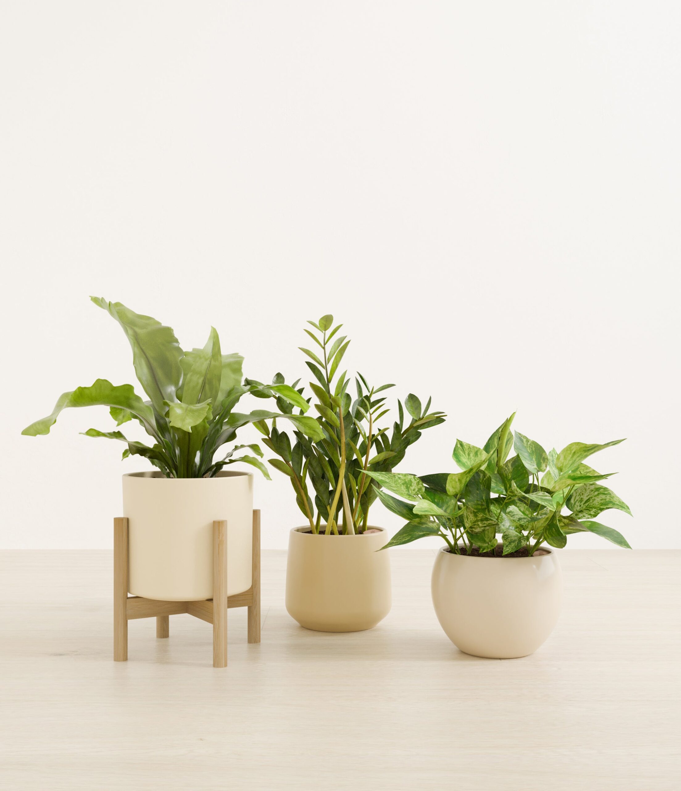 Bathroom_plants_studio_sandy_1_stand.jpg