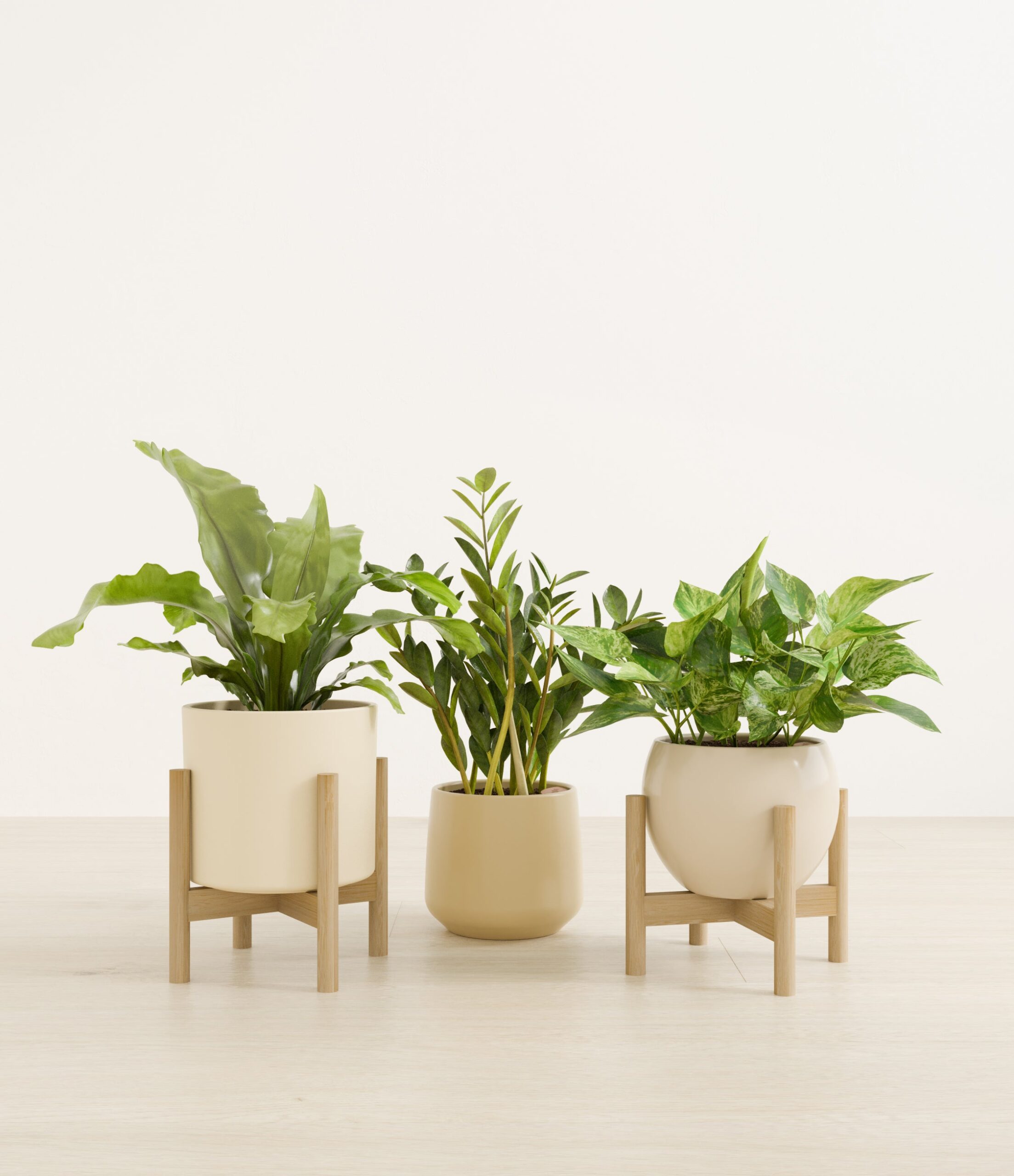 Bathroom_plants_studio_sandy_2_stand.jpg