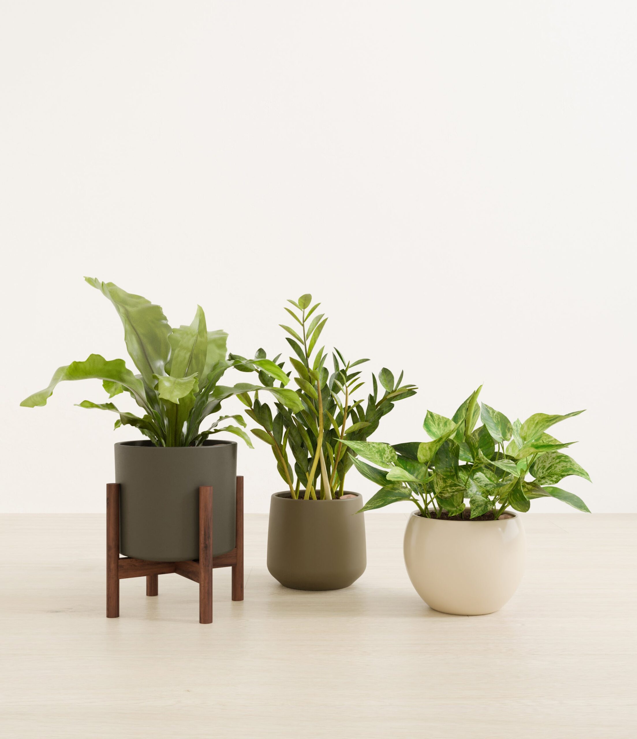 Bathroom_plants_studio_woodland_1_stand.jpg