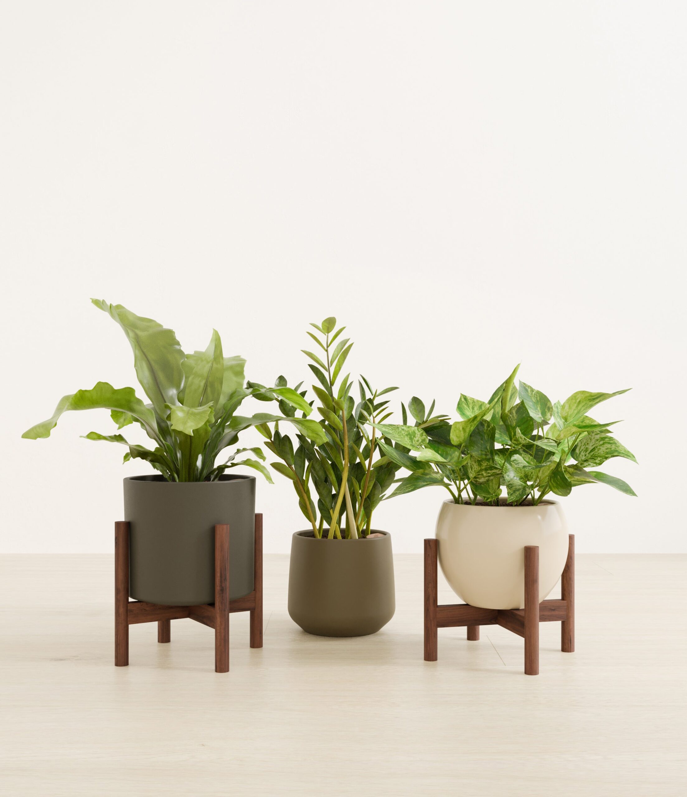 Bathroom_plants_studio_woodland_2_stand.jpg