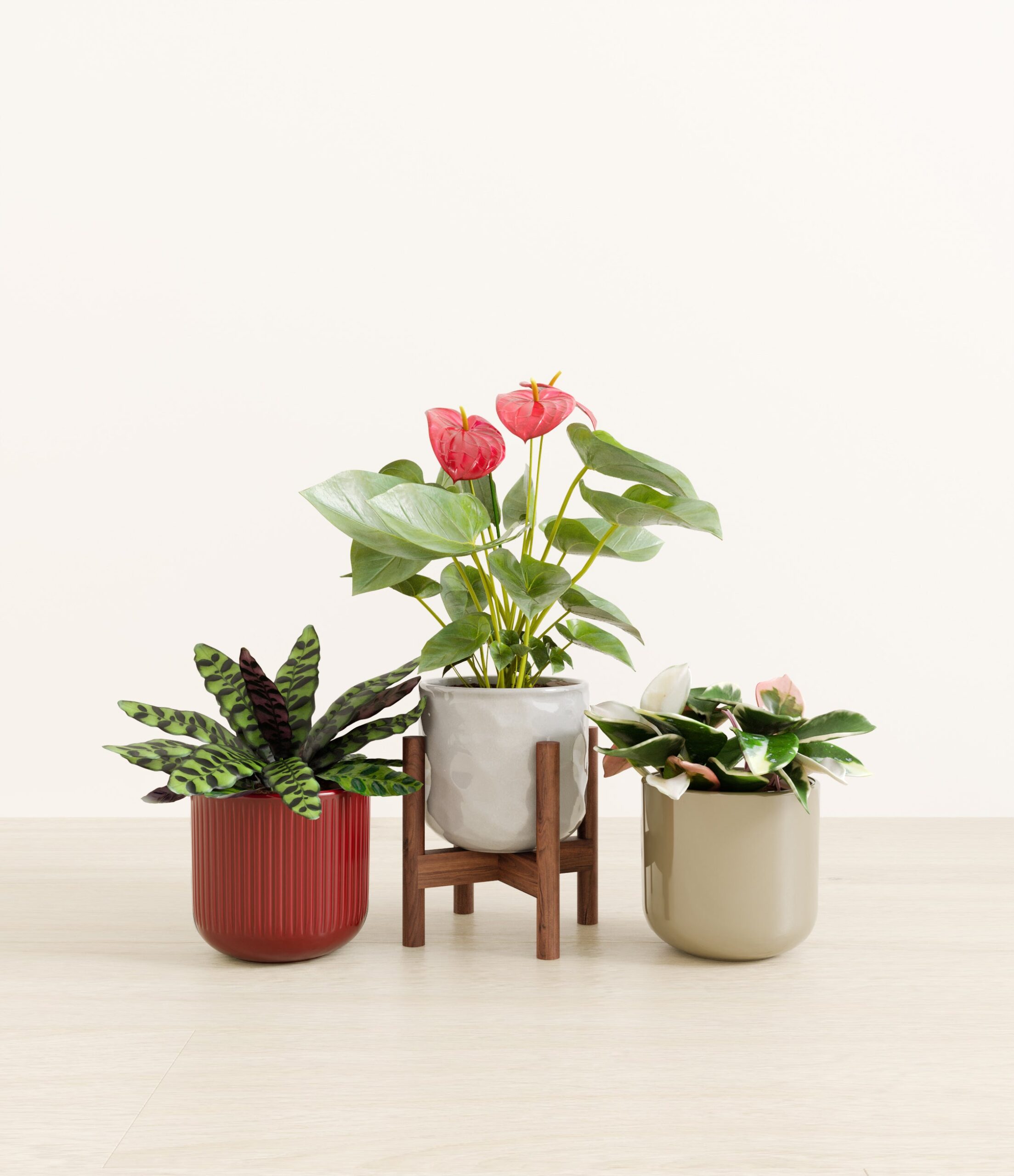 Blooming_bond_studio_cranberry_sage_palette_stand.jpg