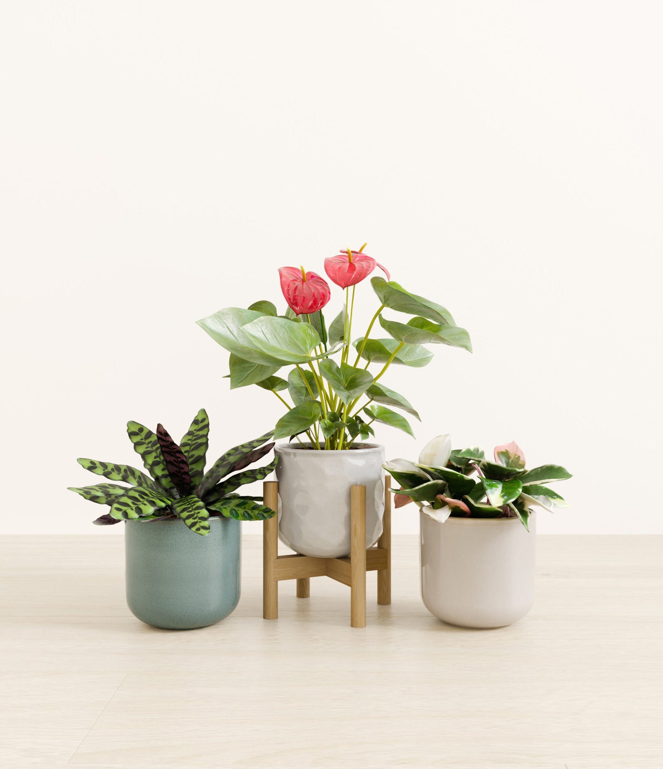 Blooming_bond_studio_moss_frost_palette_stand.jpg