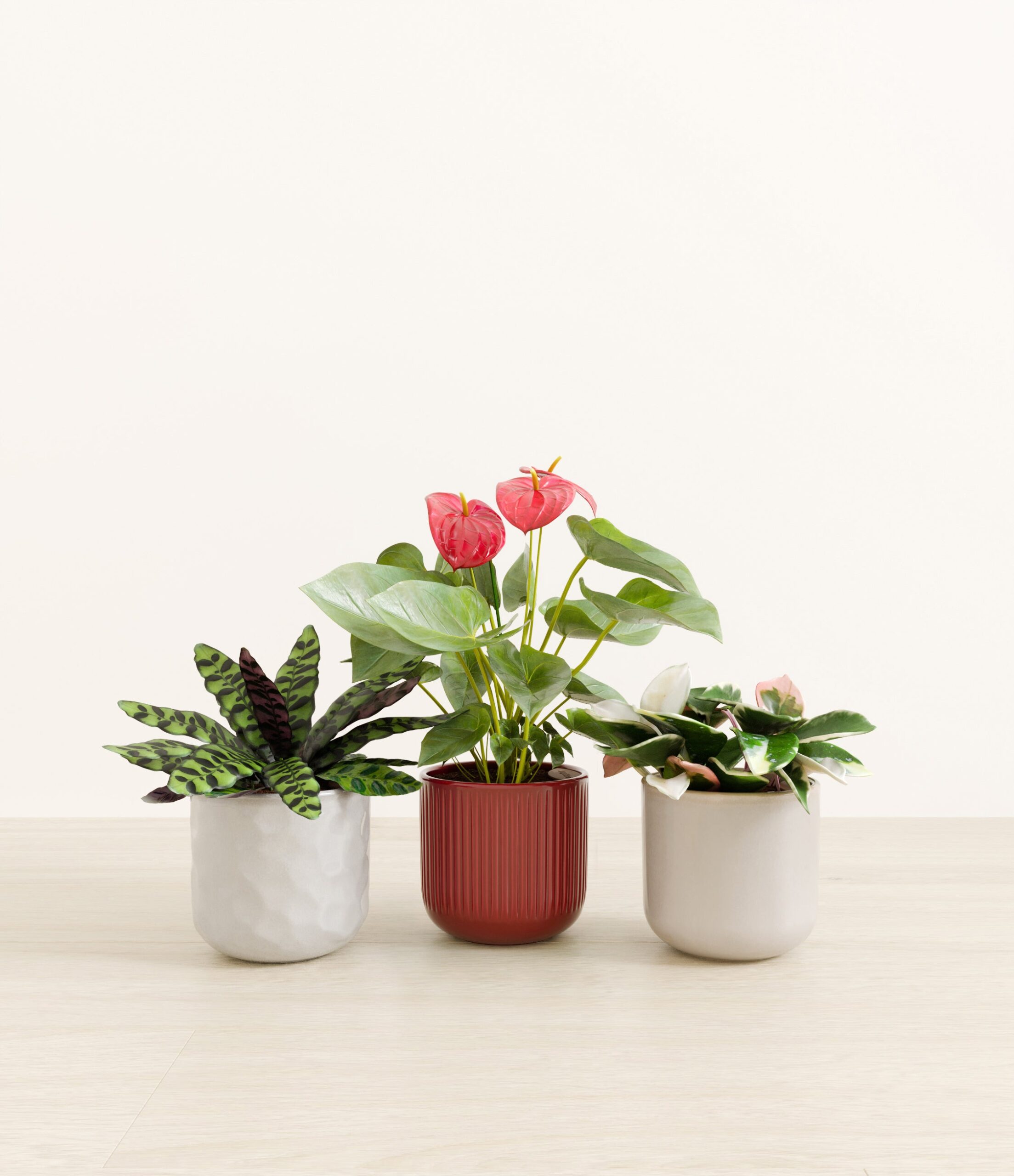Blooming_bond_studio_winter_bloom_palette.jpg