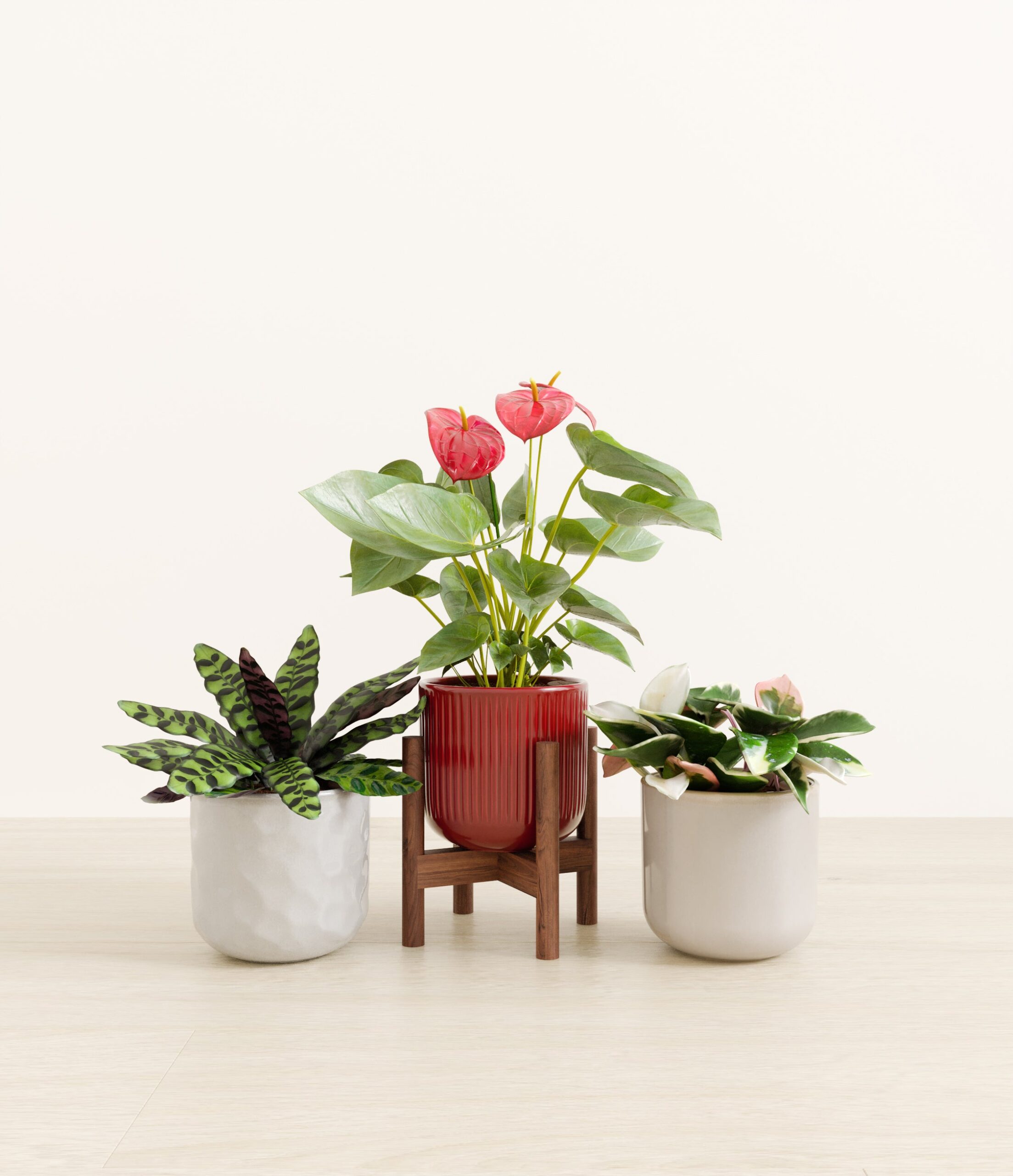 Blooming_bond_studio_winter_bloom_palette_stand.jpg