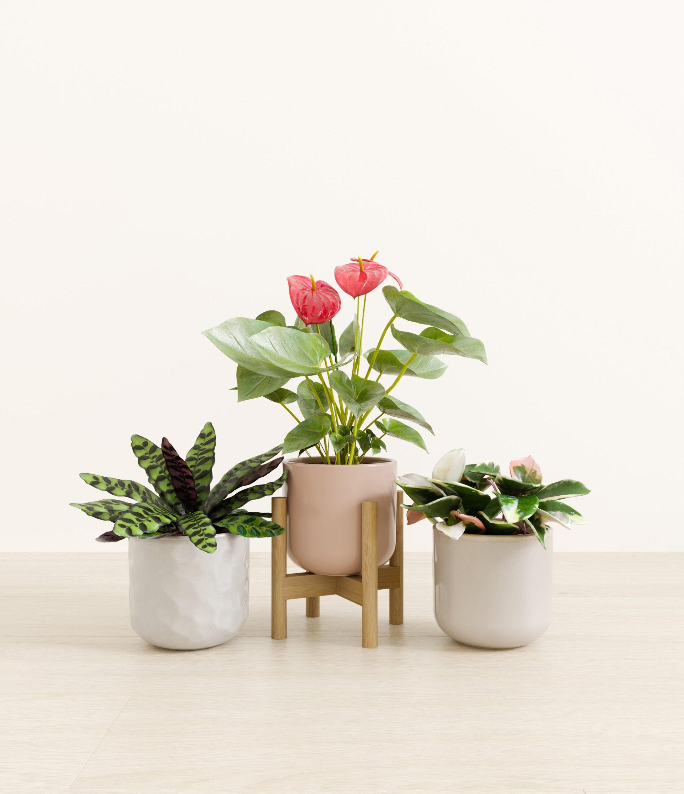 Blooming_bond_studio_winter_rose_palette_stand.jpg