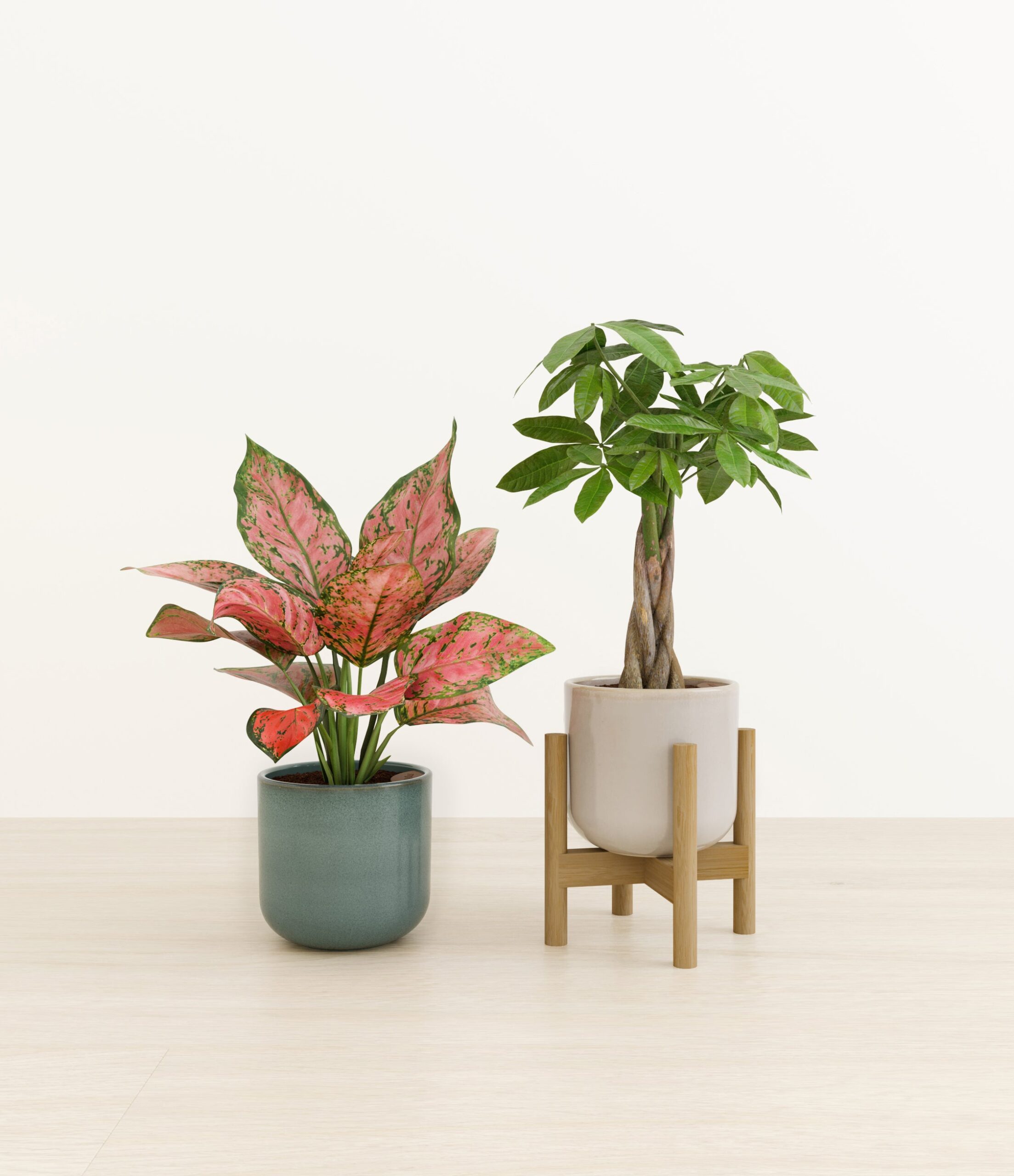 Cherished_duo_studio_frosted_pine_palette_stand.jpg