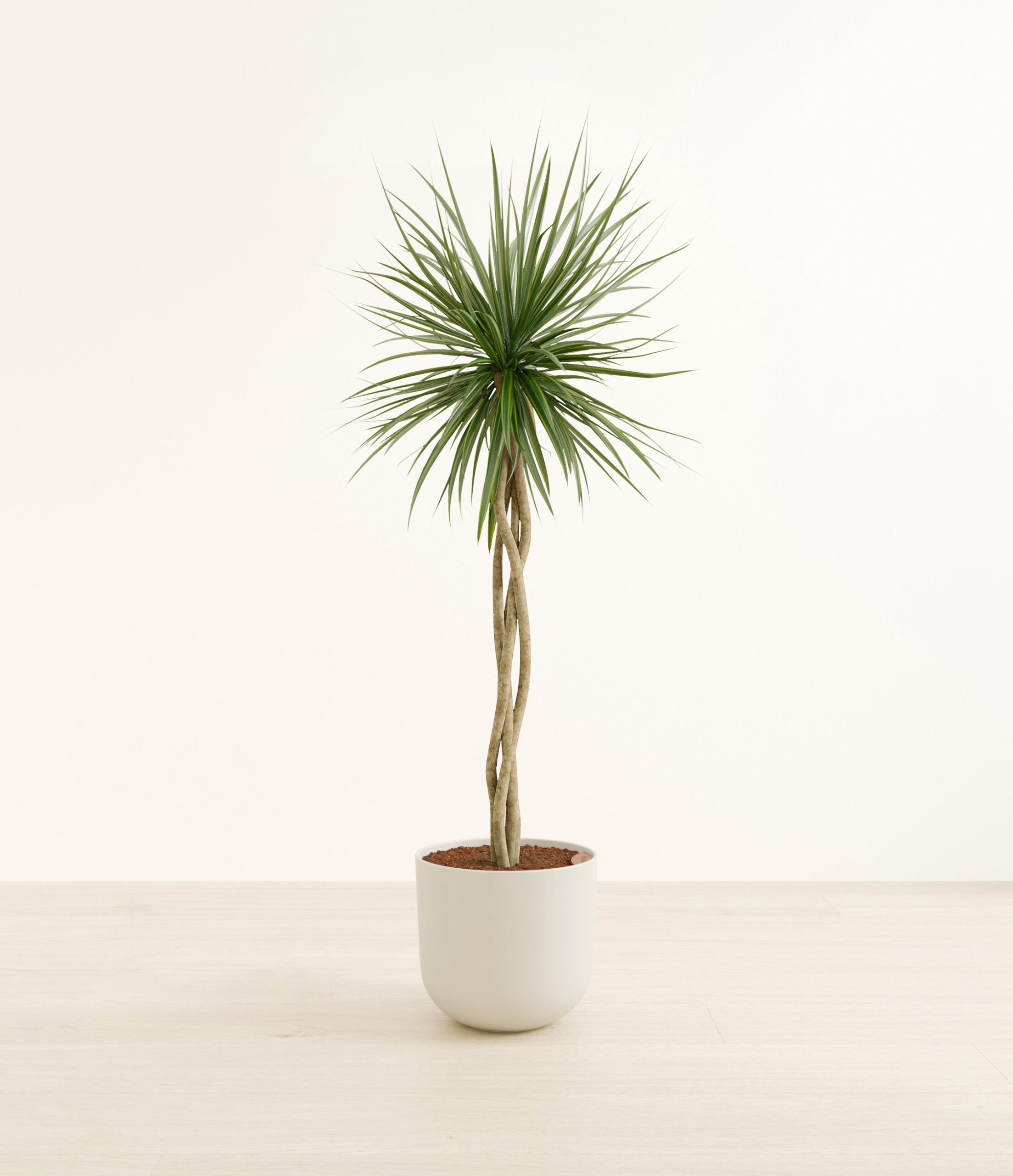 DragonTreeOpenWeaveHuge_Natural_Bamboo.jpg