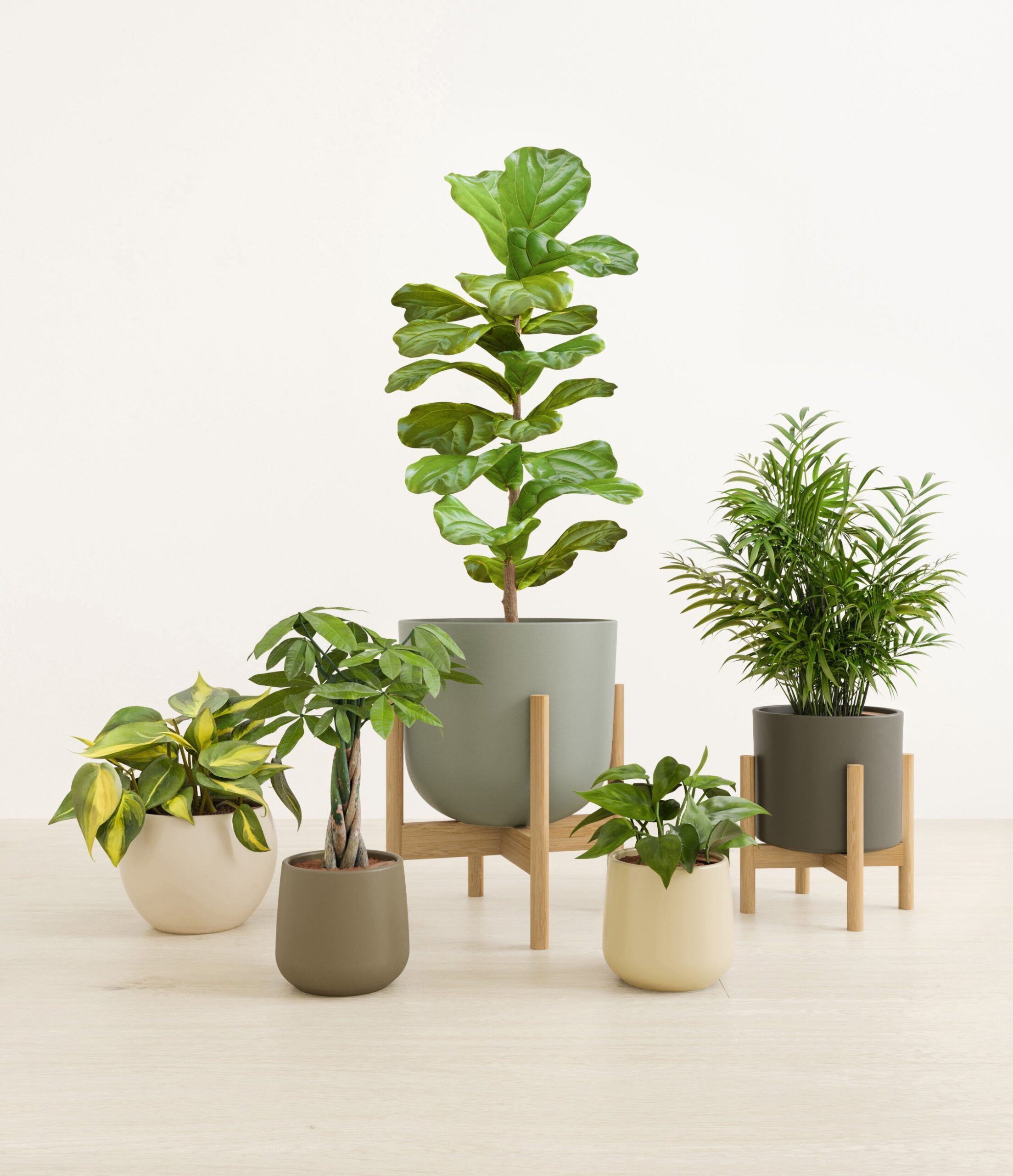 Favorable_five_woodland_2_stands.jpg