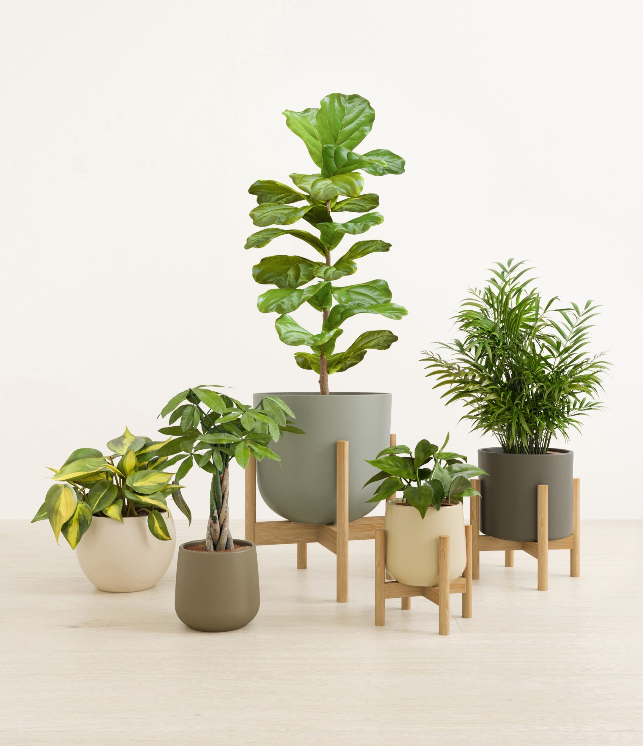 Favorable_five_woodland_3_stands.jpg