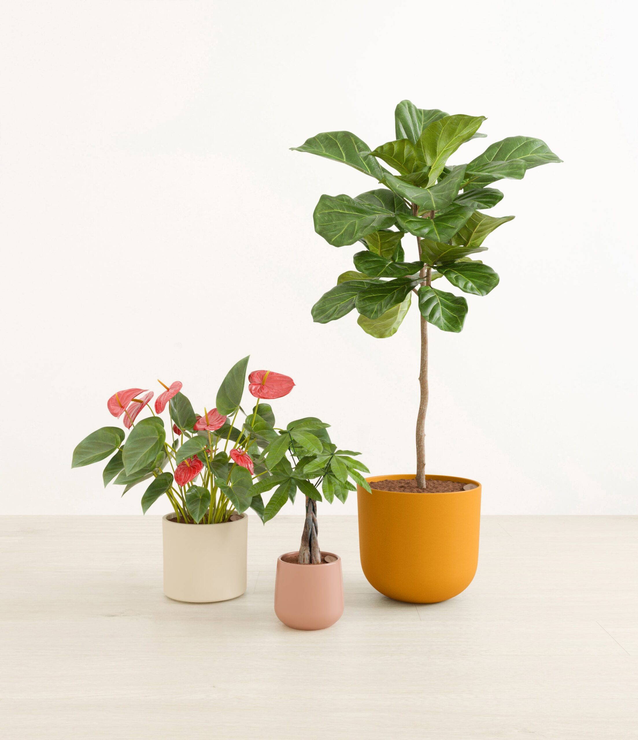 Fresh_starts_evening_sky_0_stand.jpg
