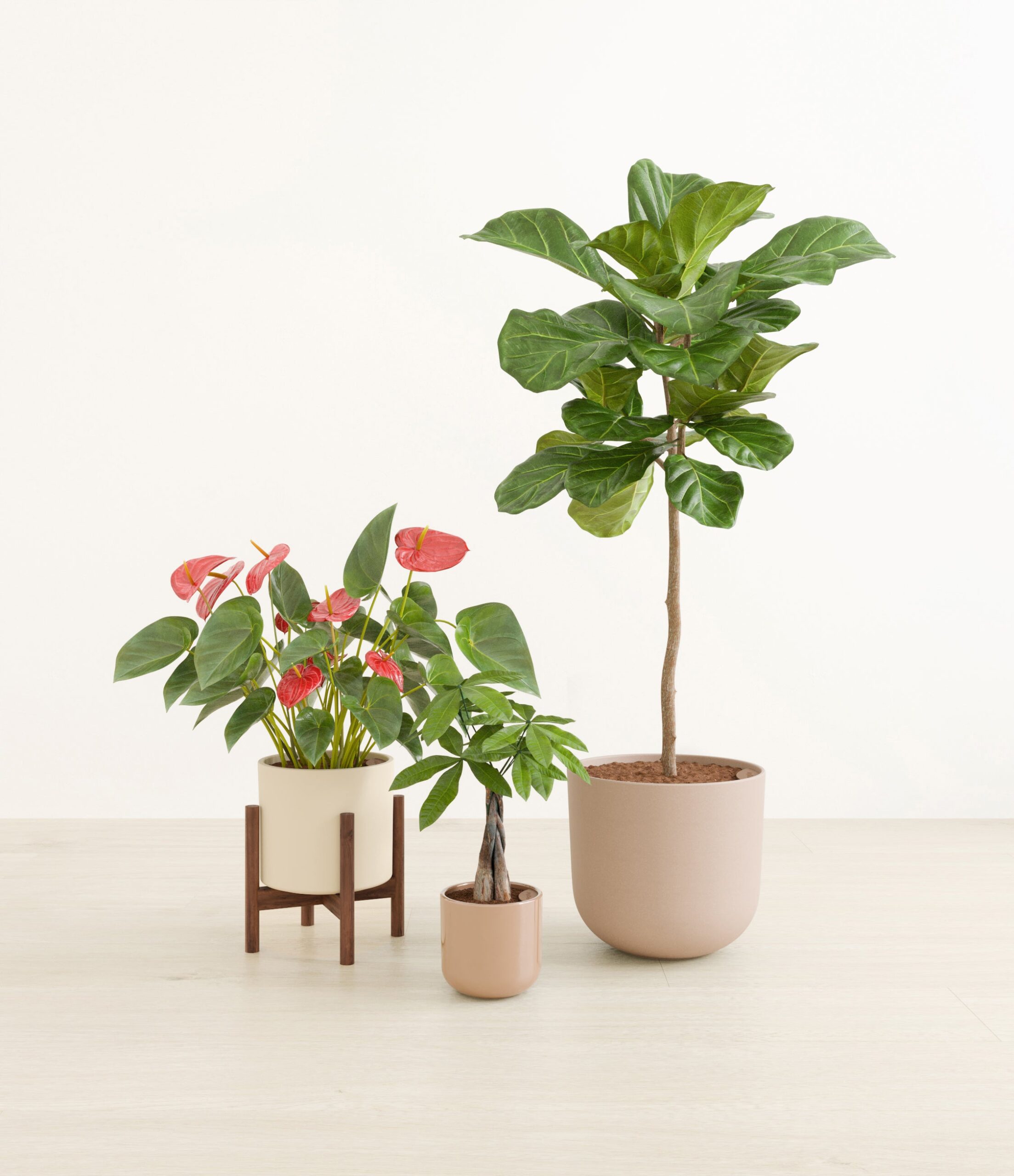 Fresh_starts_peach_blossom_1_stand_89be8f1b-7458-4a55-bc28-281bbd5d2046.jpg