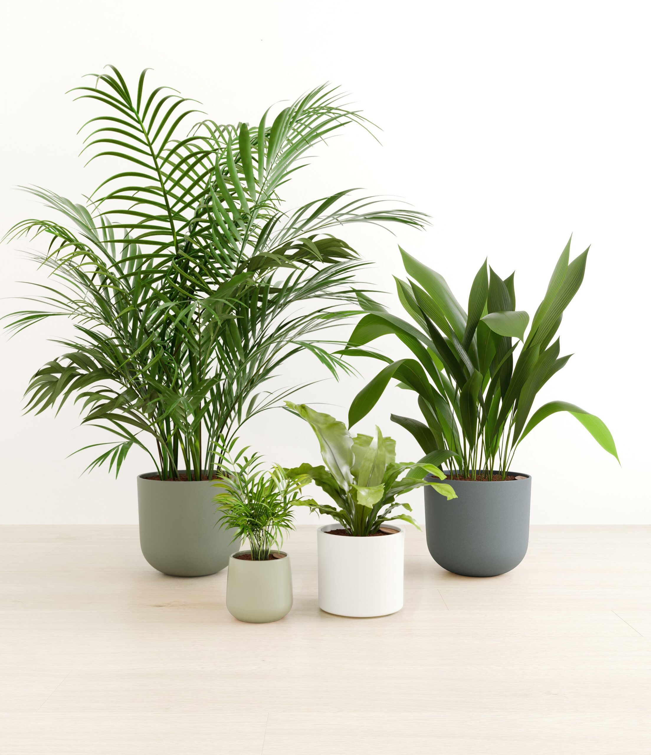 Gentle_guardians_earthy_palette_0_stand_37f7cb88-6993-4d12-b6fd-cbb5d9da5aa1.jpg