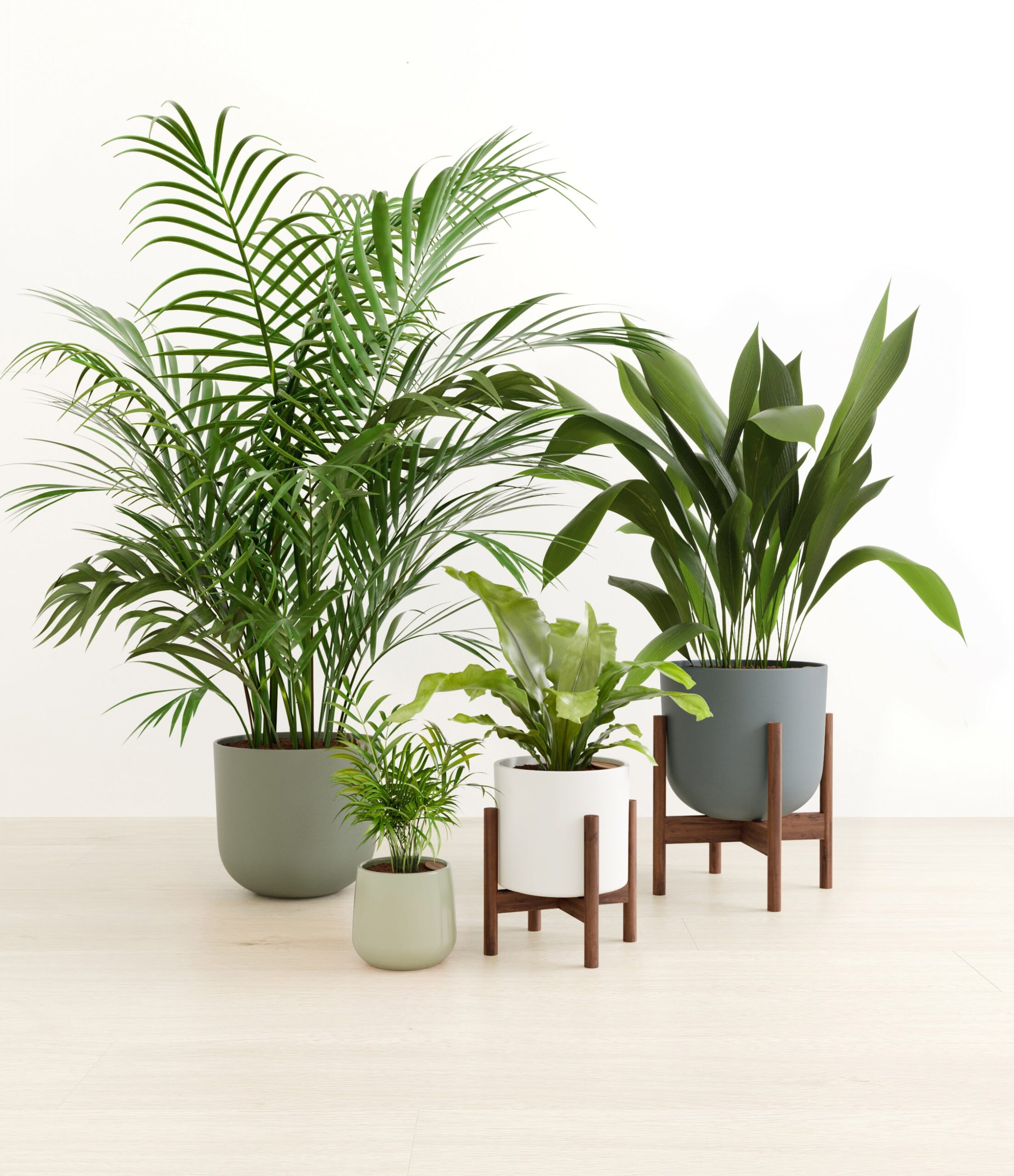 Gentle_guardians_earthy_palette_2_stand_069370de-cf2c-40f5-8c77-3c08a6d72cac.jpg