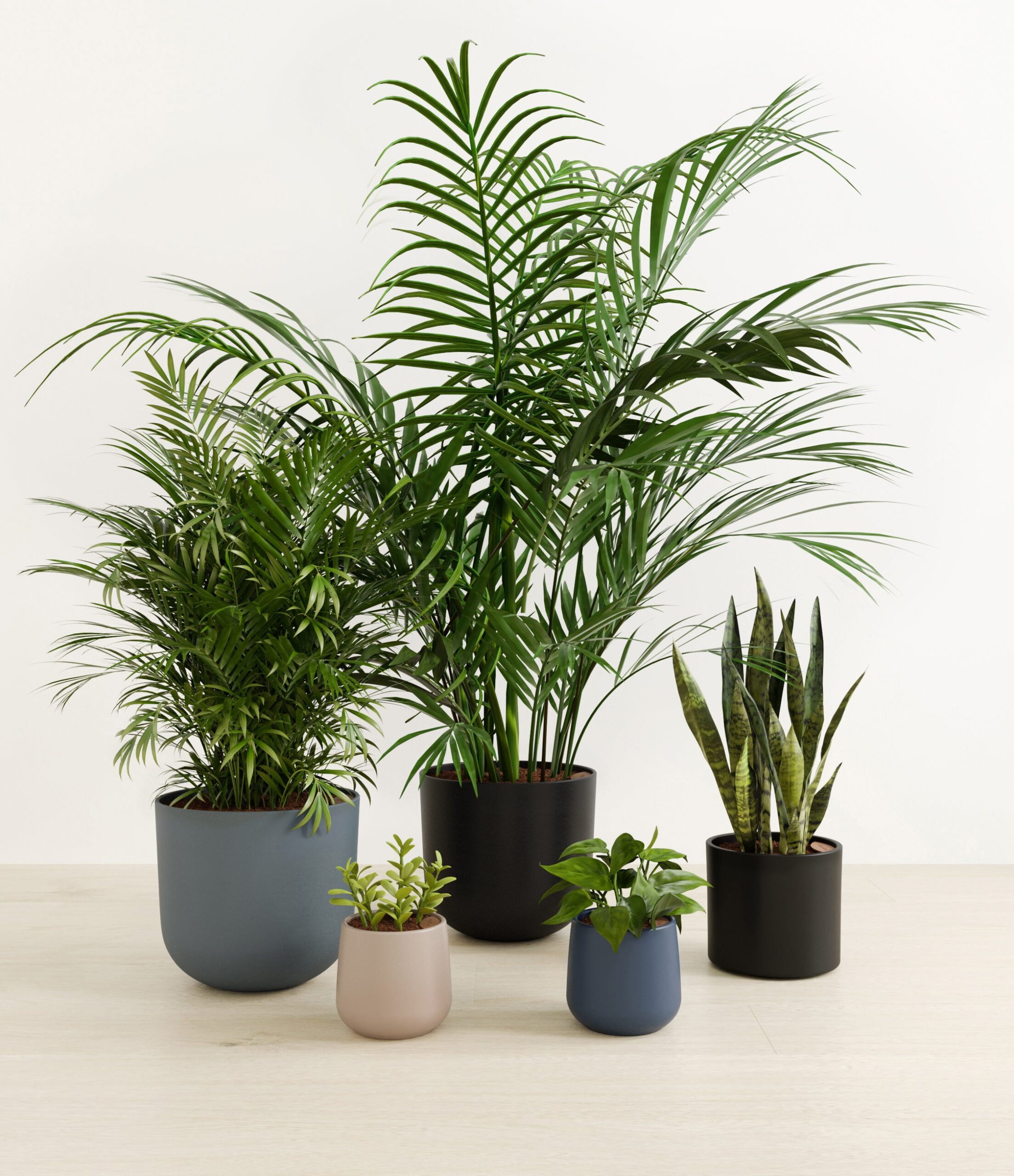 Giving_Roots_charcoal_palette_0_stands.jpg