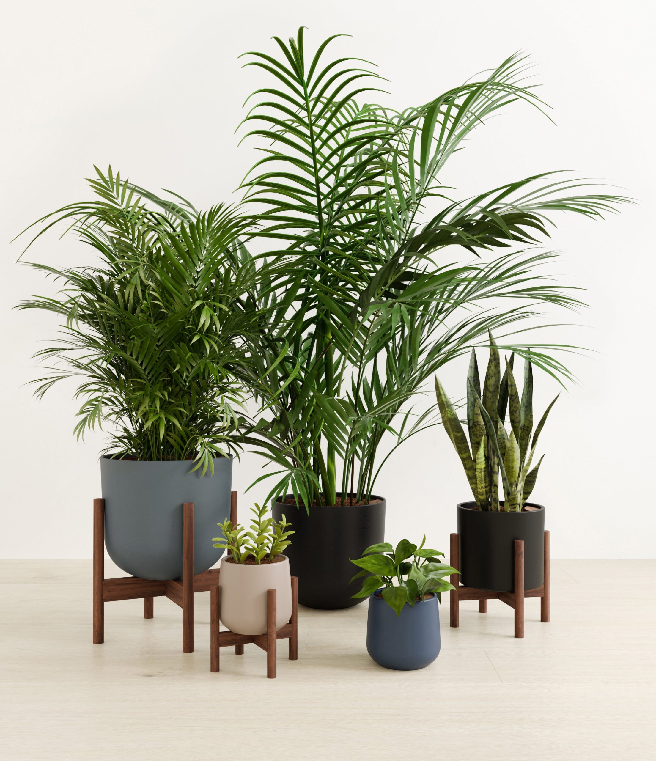 Giving_Roots_charcoal_palette_3_stands.jpg