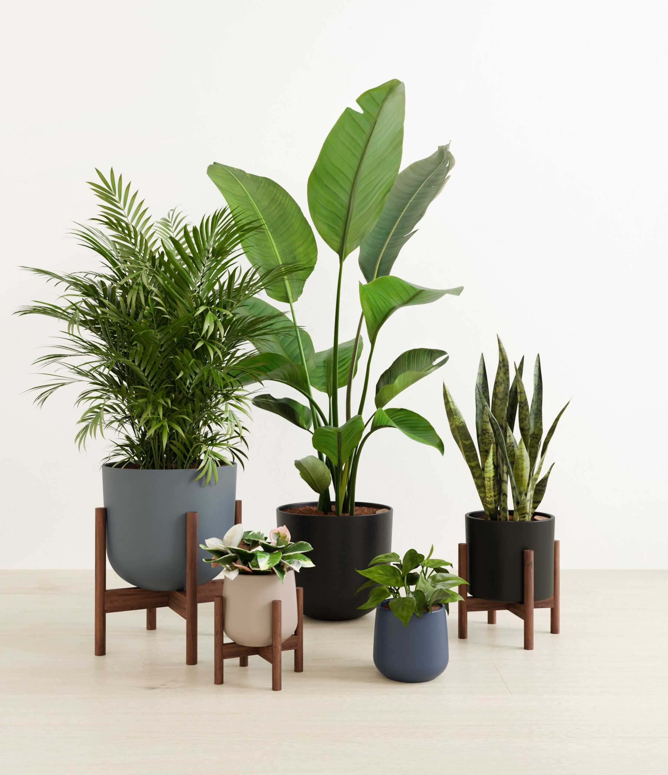 Giving_Roots_studio_charcoal_palette_stand.jpg