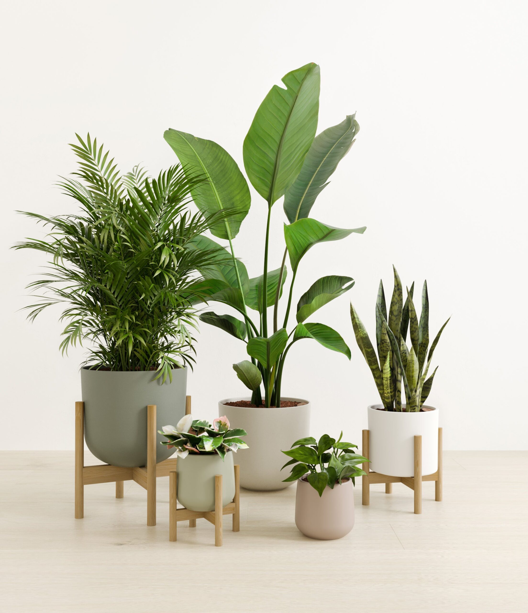 Giving_Roots_studio_earthy_palette_stand.jpg